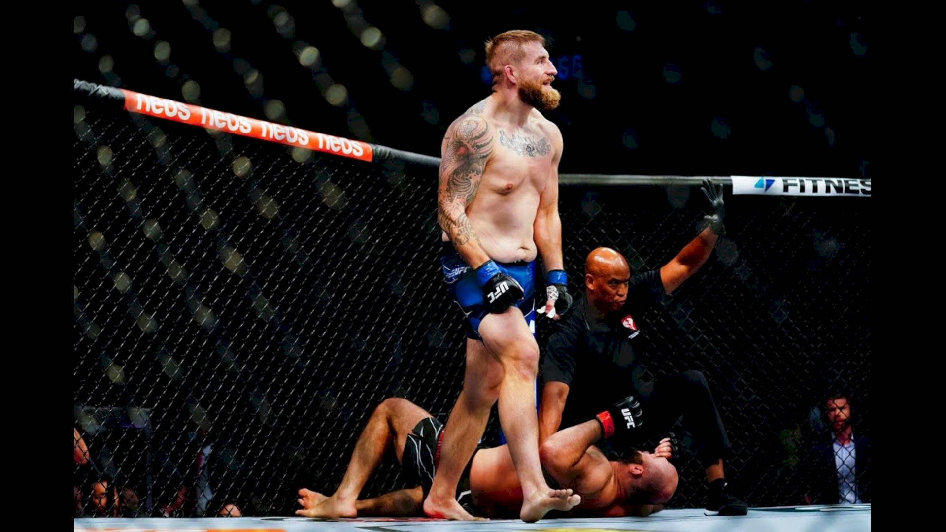 MMA選手在擊敗對手後於八角籠中慶祝勝利。