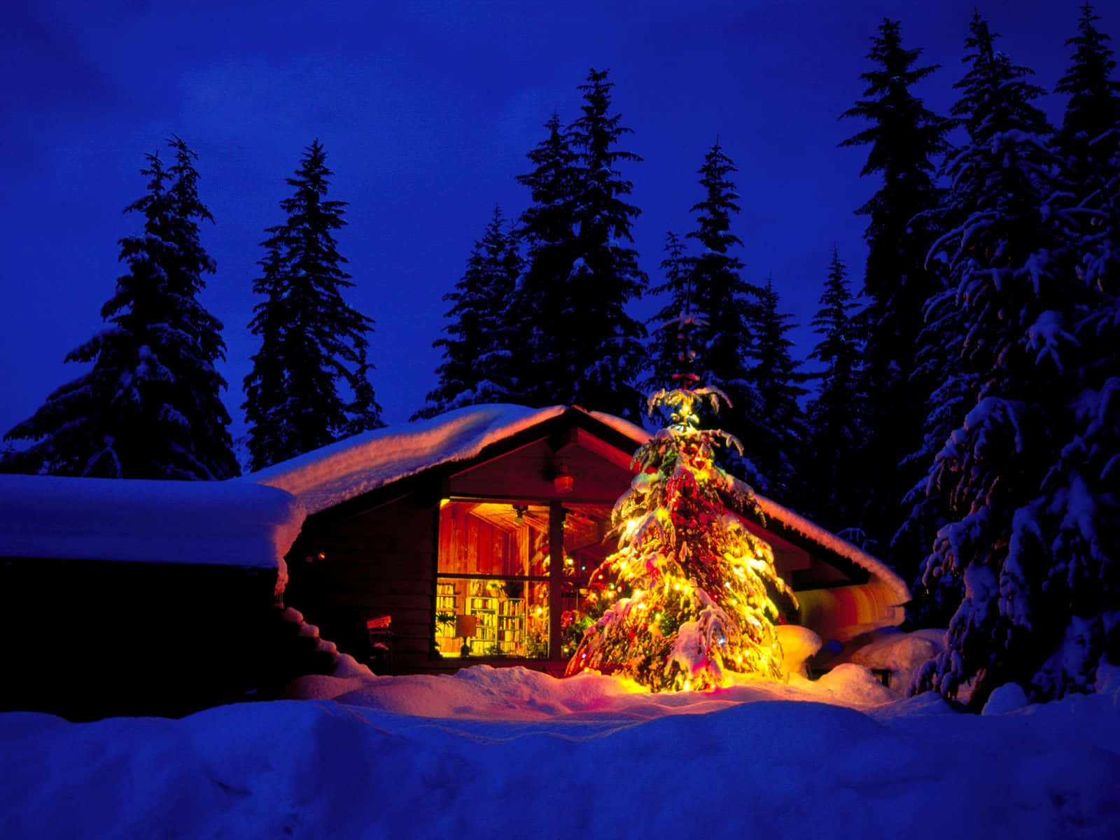 舒適的小屋，在雪地冬季森林中夜晚有發光的聖誕樹。
