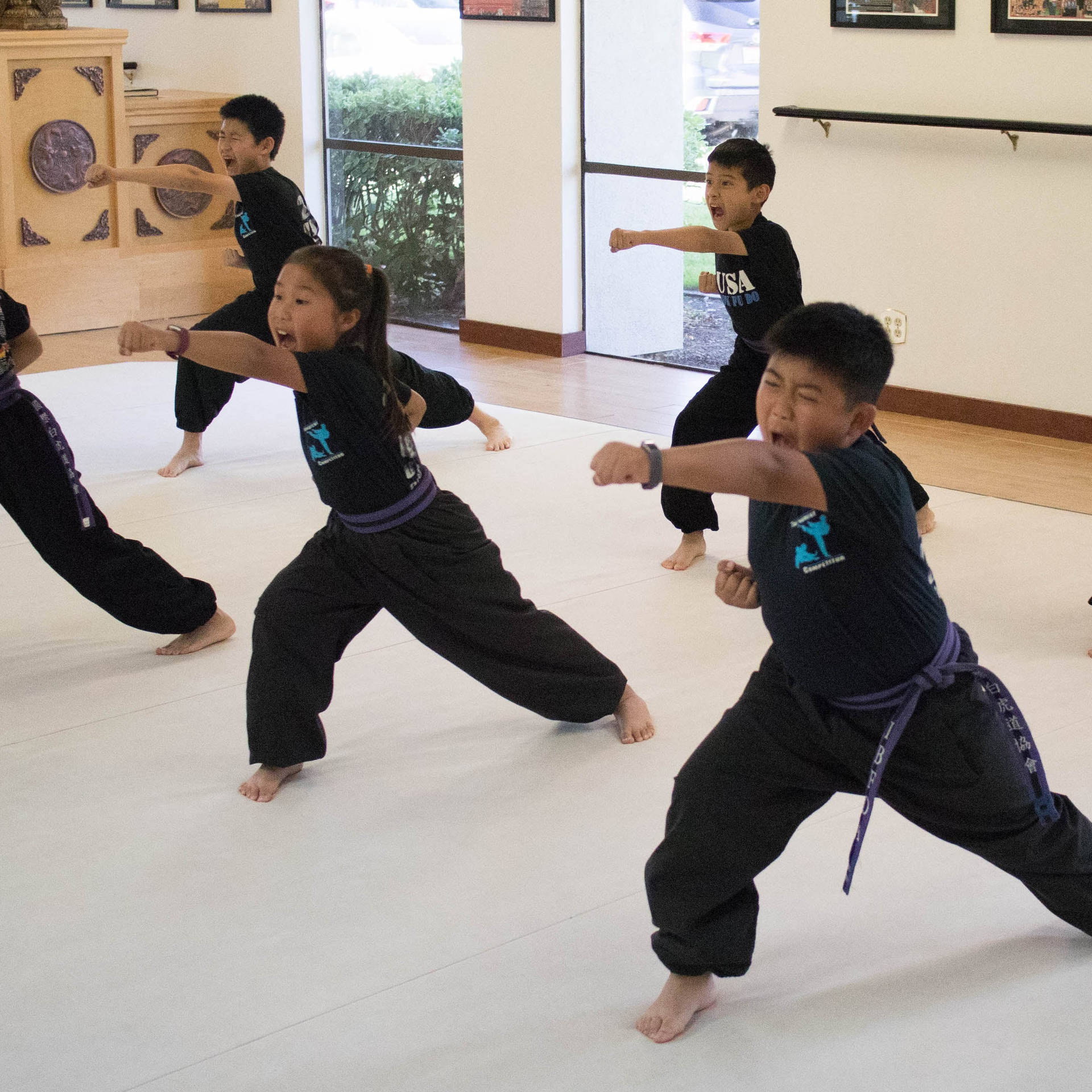 孩子們在道場練習武術，表情專注。