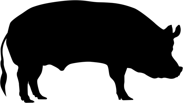 內容無法提供_豬 壁紙