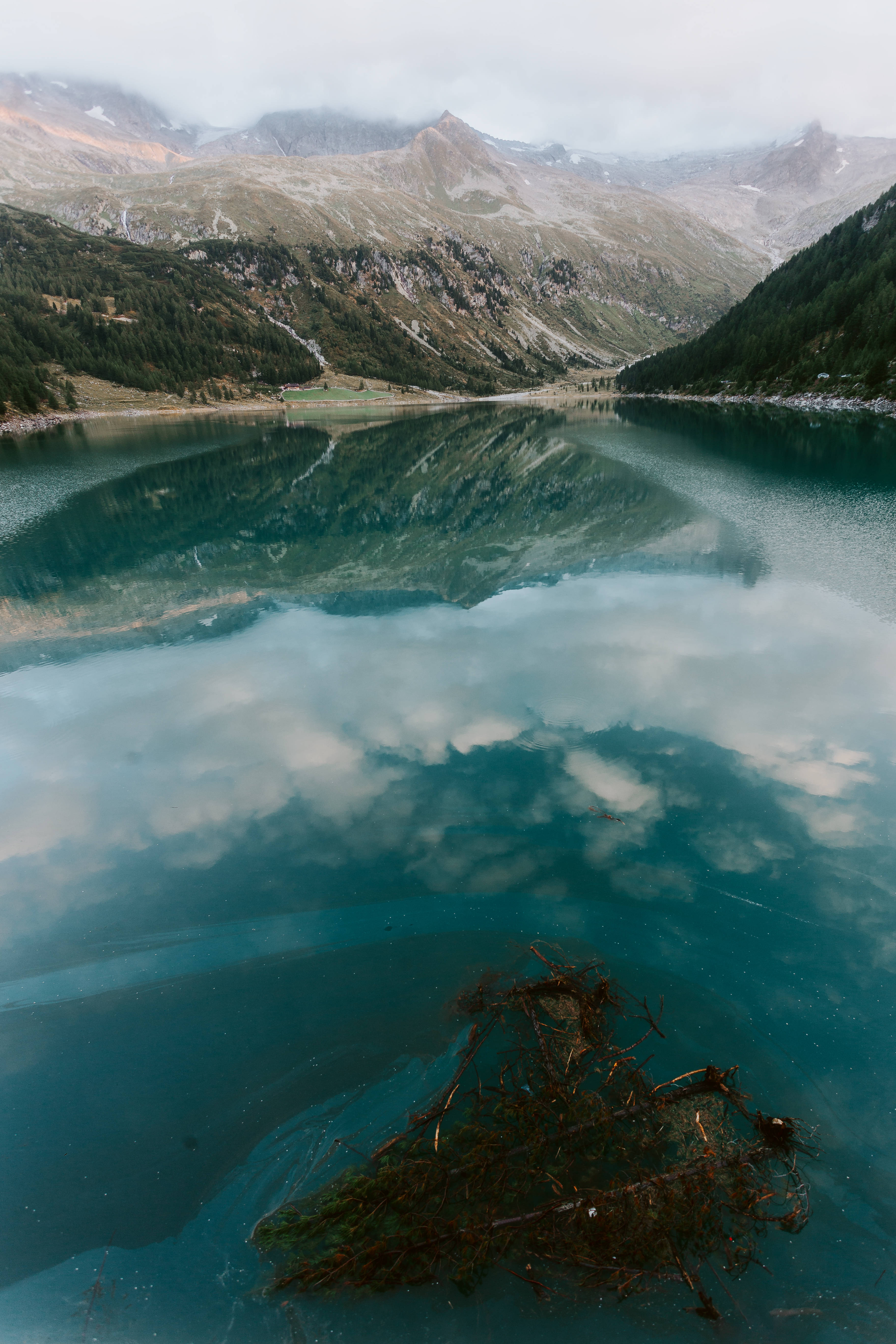 內維斯湖山景iOS 壁紙 — 寧靜的山湖映照著霧氣繚繞的山峰和多雲的天空，前景有一根纏繞的樹枝。