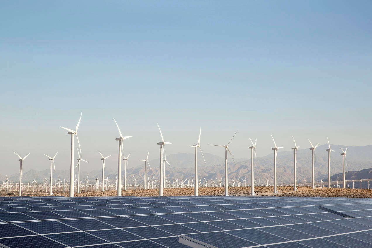 內華達能源電廠配備風車 壁紙 — 一排排太陽能板在晴朗的藍天下延伸至地平線，地平線上有白色的風力渦輪機。