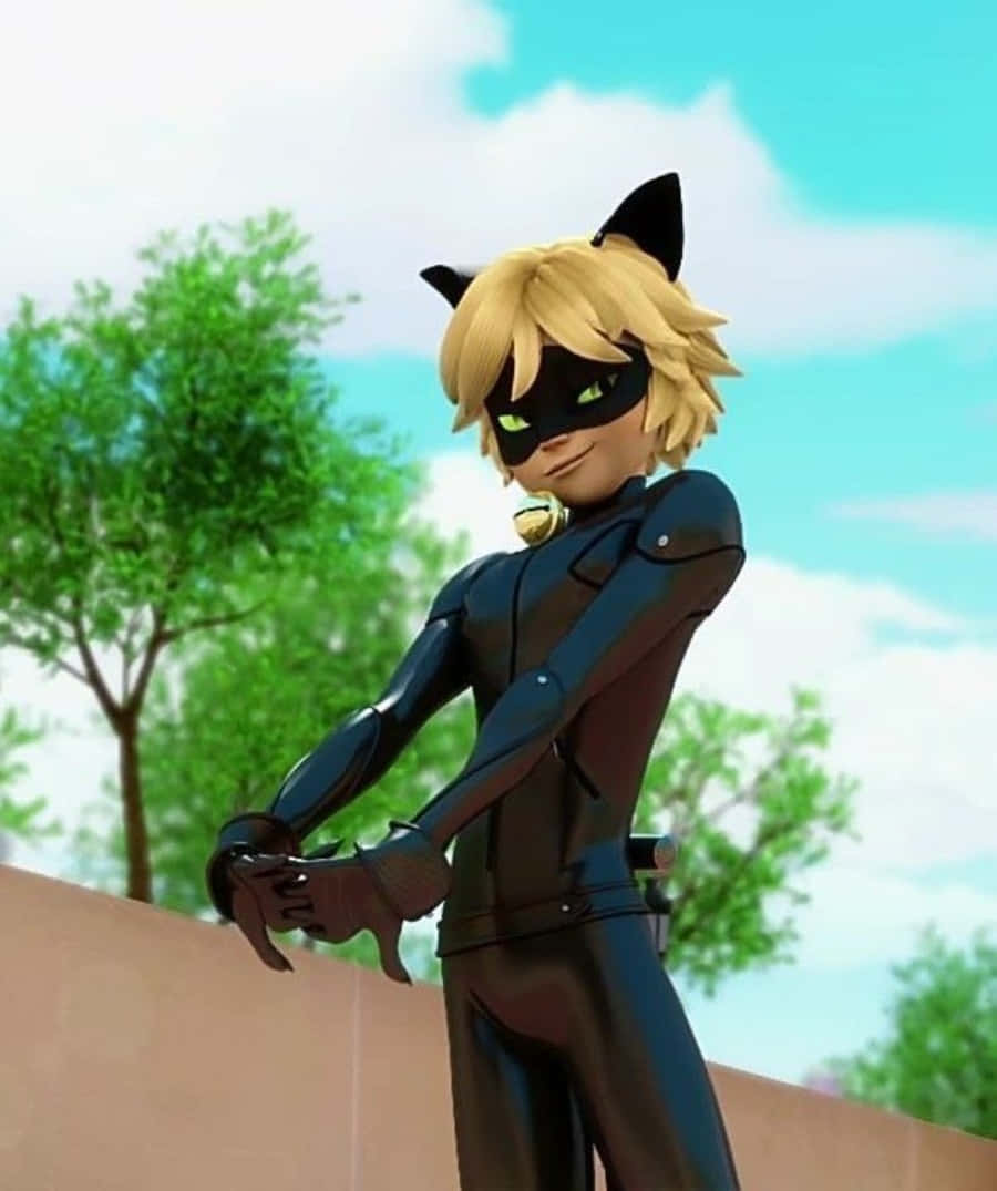 全城最型貓咪 - Cat Noir 壁紙