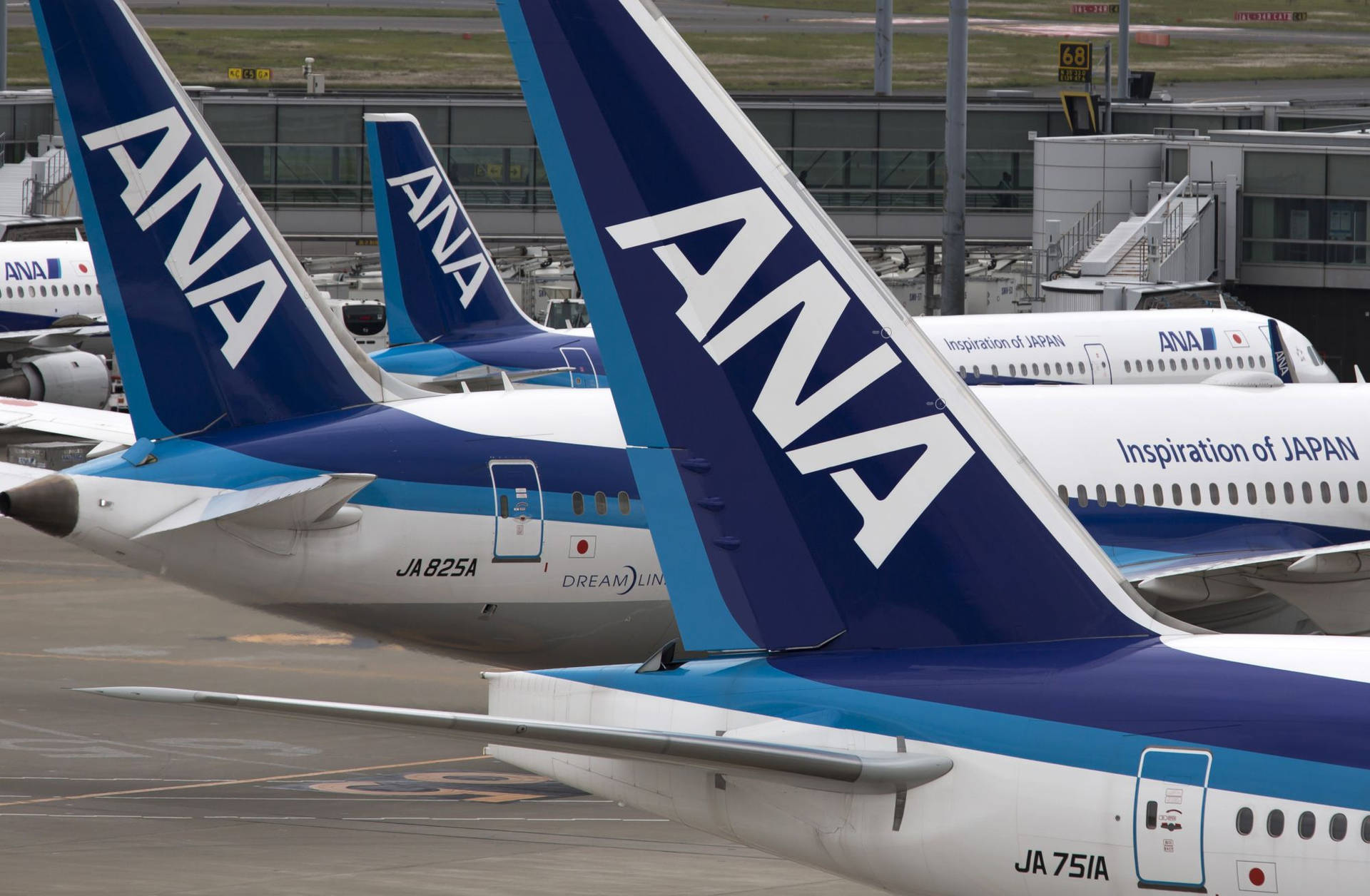ANA飛機停在機場閘口，帶有「Inspiration of JAPAN」塗裝。