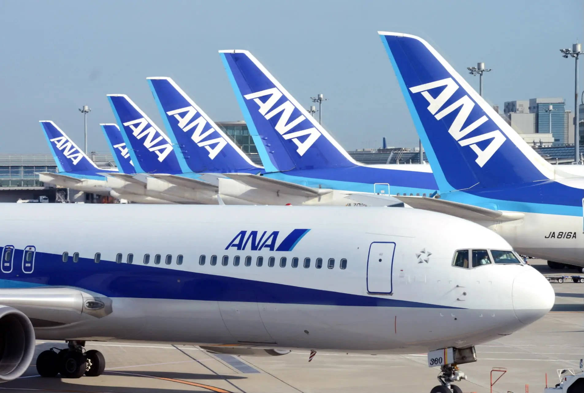 一排ANA飛機停在機場停機坪，背後是城市天際線。