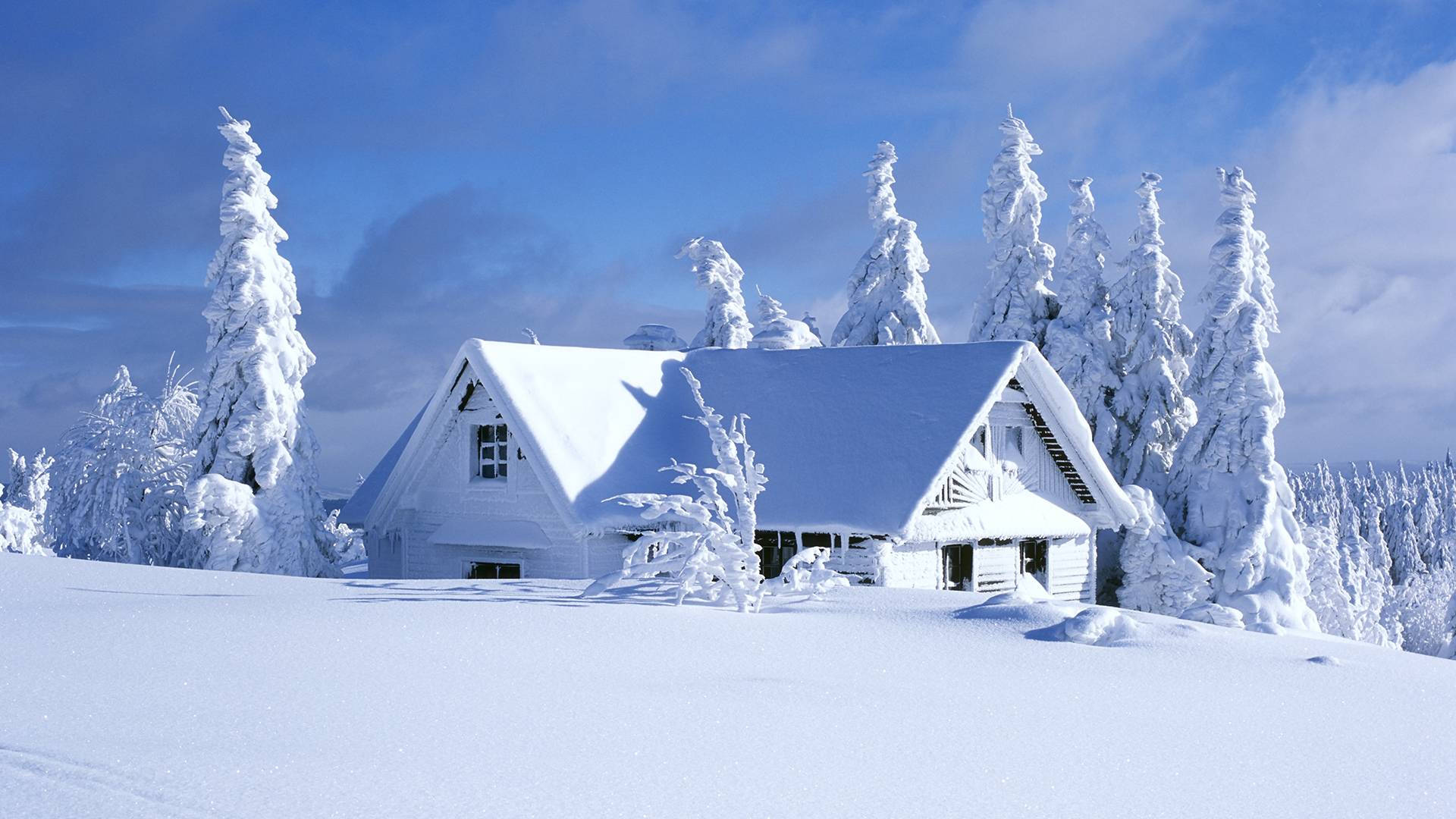 全白冬日小屋 壁紙 — 一間舒適的白色小屋坐落在白雪皚皚的森林中，上方是明亮的藍天和蓬鬆的雲朵。