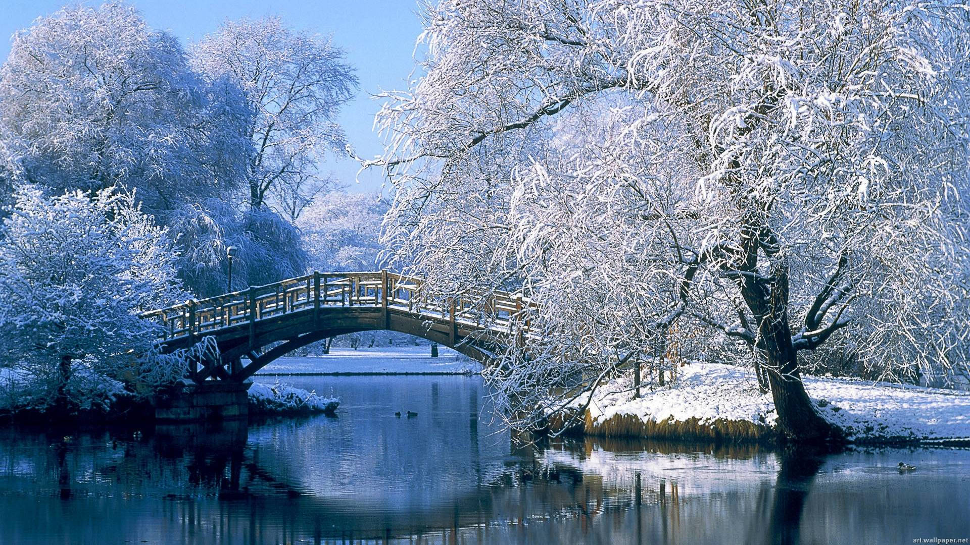 白雪覆蓋的樹木框住了一座冬季寧靜河面上的木橋。