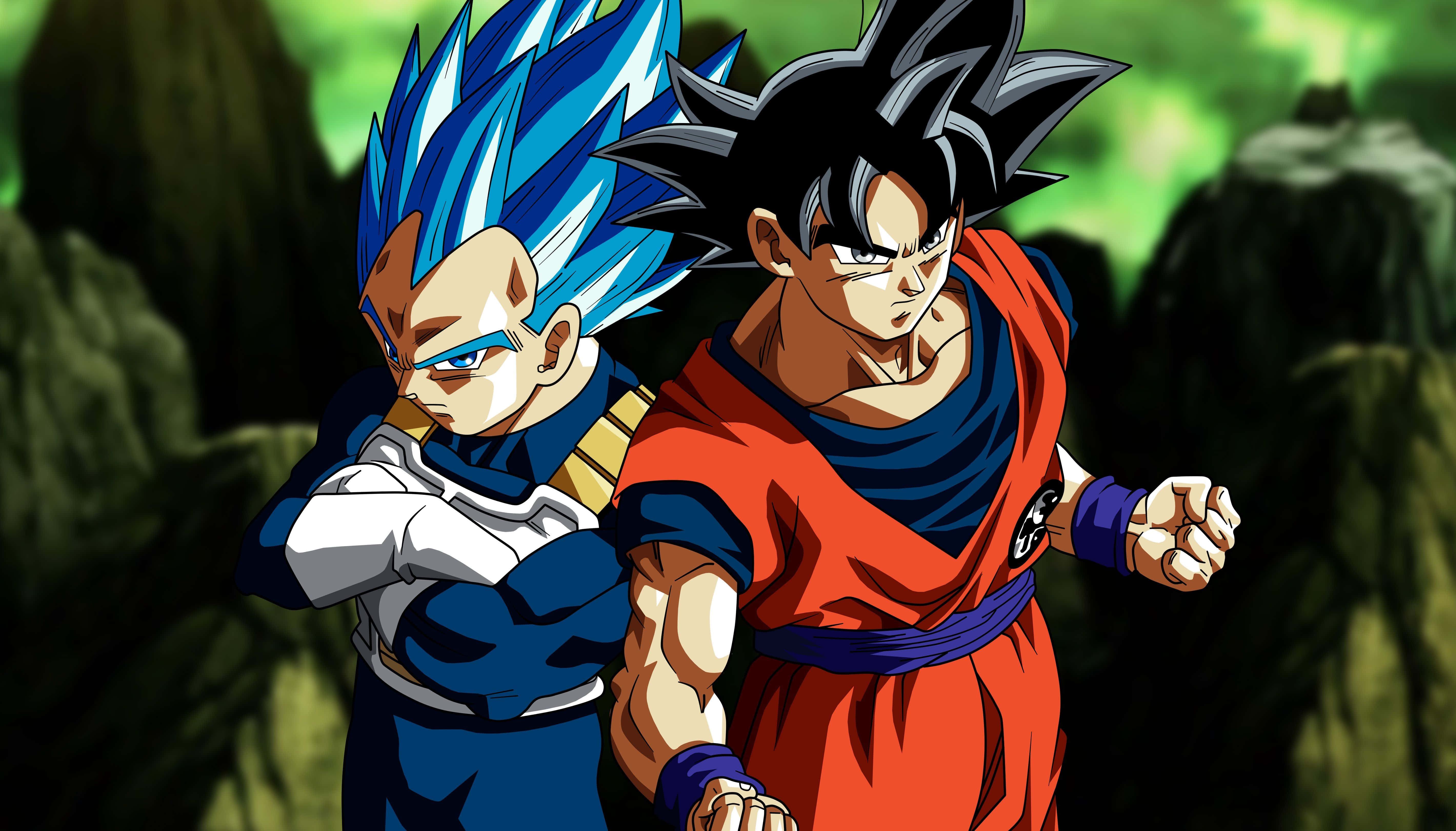 Vegeta And Goku 桌布 壁紙 — 兩位動漫戰士，頭髮尖刺，在岩石森林中準備就緒，一位藍髮，另一位黑髮，兩者均擺出戰鬥姿勢。