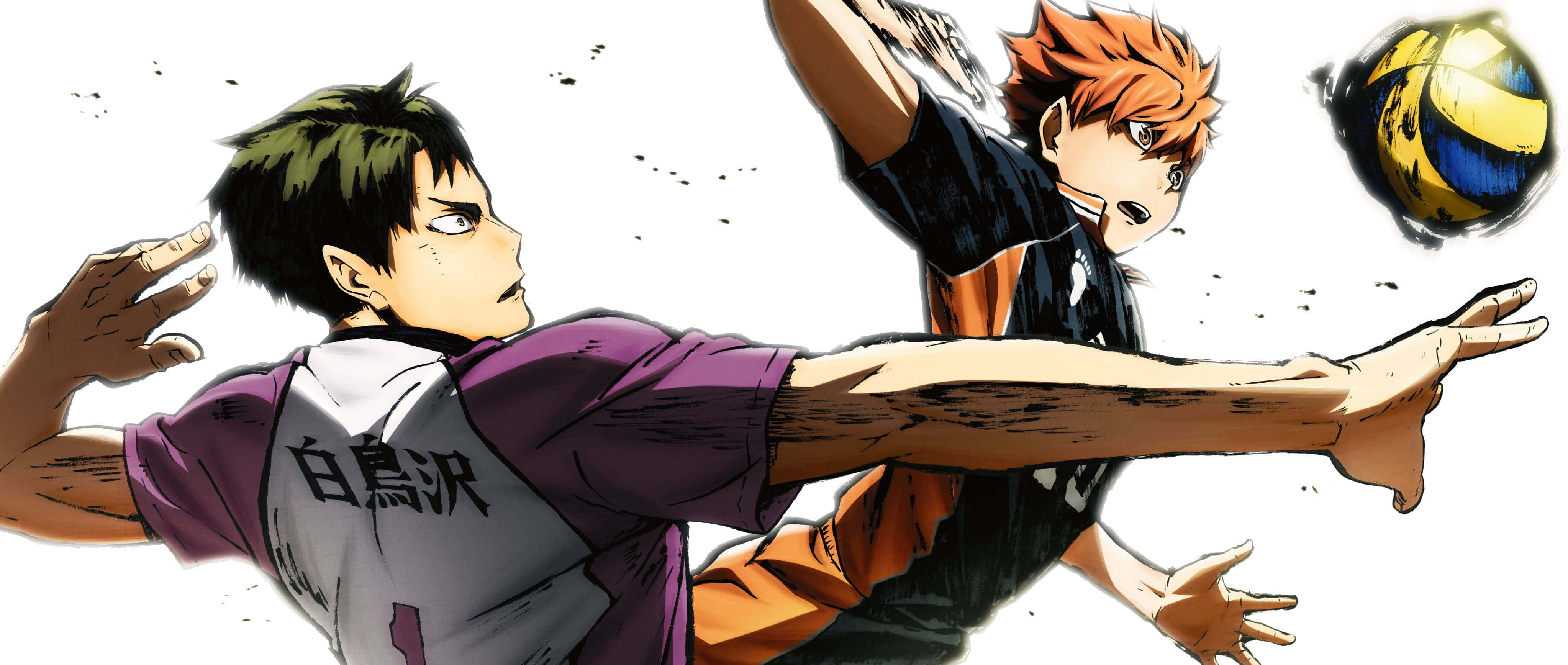 Haikyuu Captains 桌布 壁紙 — 兩位動漫排球選手動態躍起，在純白背景前扣球和攔網。