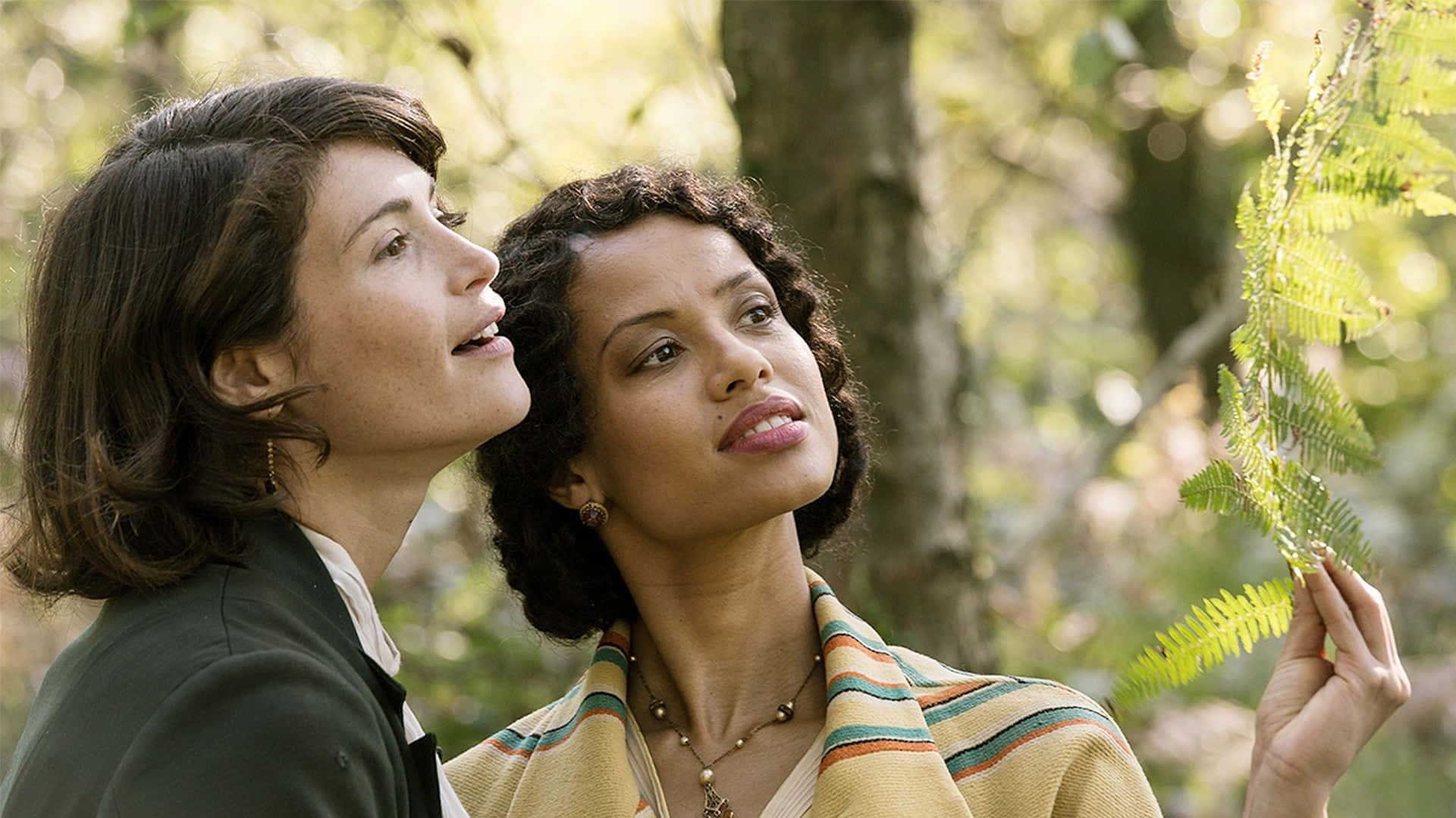 Gugu Mbatha-raw 桌布 壁紙 — 兩位女士在陽光普照的森林中仰望蕨類植物，臉上帶著驚奇和連結的表情。