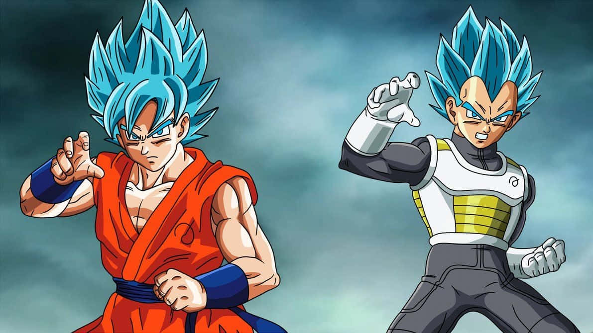 Vegeta And Goku 桌布 壁紙 — 兩位擁有尖刺藍色頭髮的動漫戰士，在暴風雨的灰色天空下擺出戰鬥姿勢。