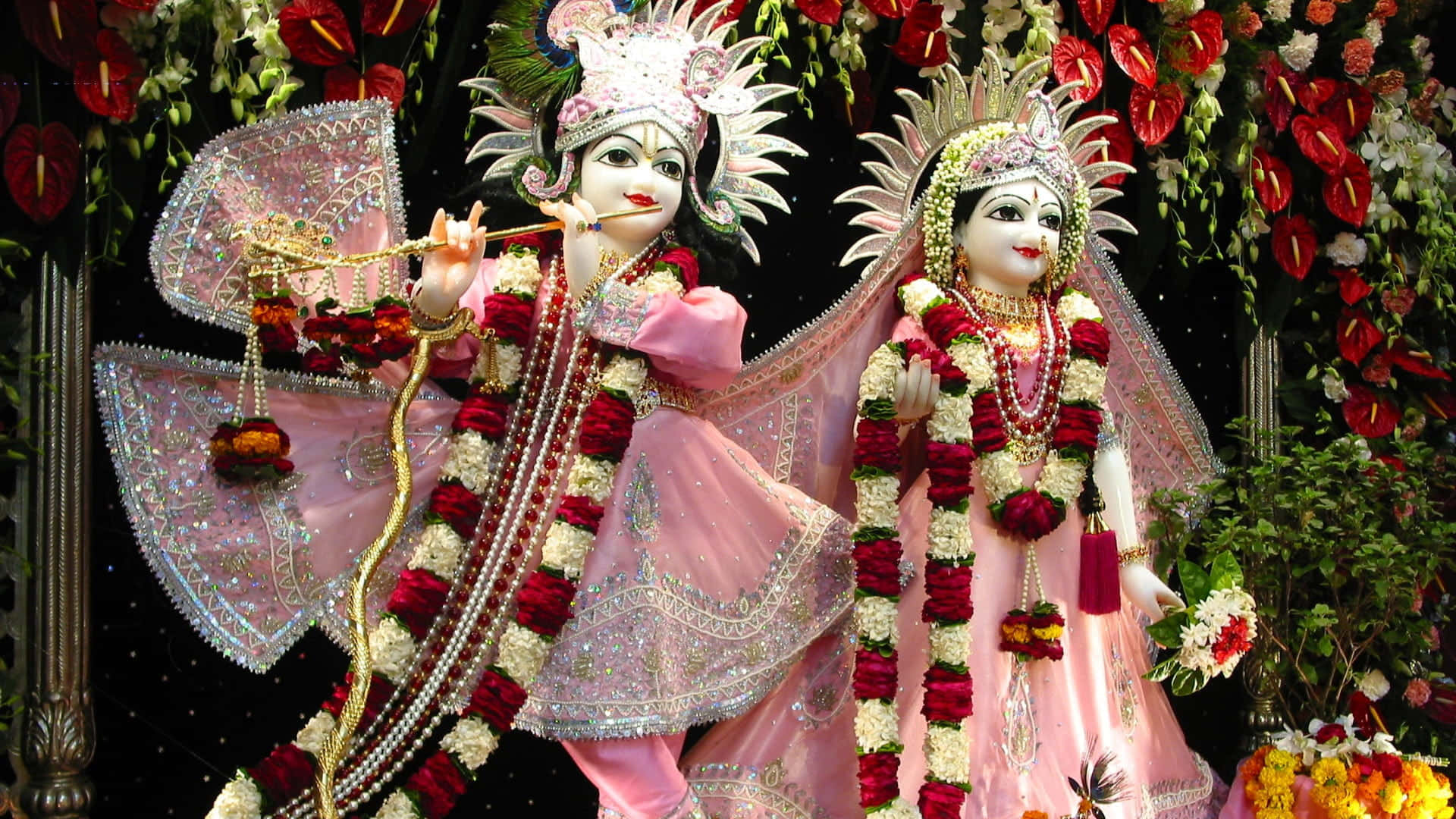Radha Krishna 桌布 壁紙 — 兩位精心打扮的印度教神祇，身著粉紅色服飾和紅白花環，矗立在茂盛的花卉裝飾中。
