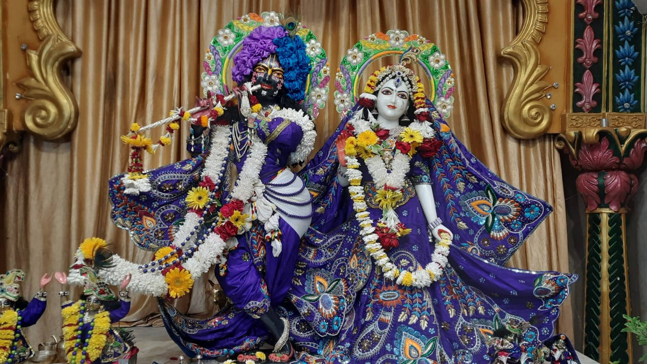 Hindi 桌布 壁紙 — 兩位精心裝飾的印度教神祇身穿鮮豔紫色服飾，優雅地坐在金色華麗裝飾和花環之中。