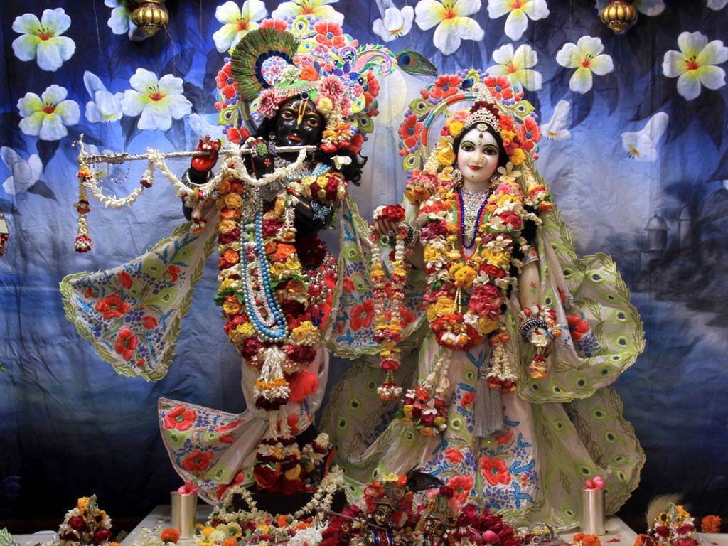 Hindu Temple 桌布 壁紙 — 兩位裝飾華麗的印度教神祇克里希納和拉妲，在深藍色背景下，一起站在花卉華蓋下。