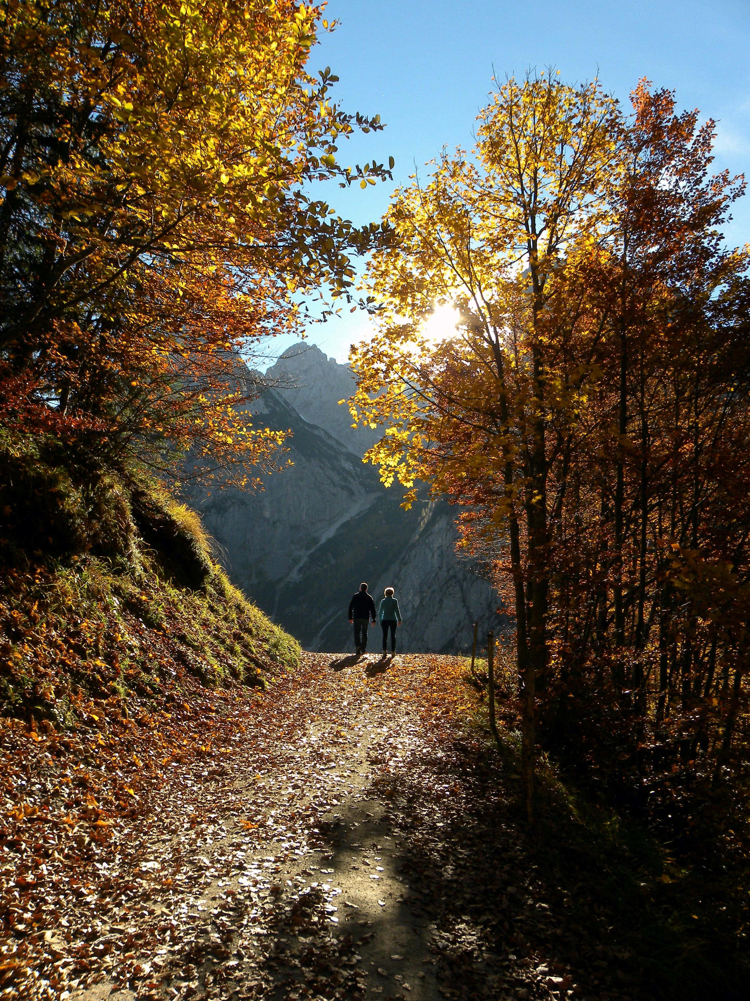 Fall Hikes 桌布 壁紙 — 兩位遠足者沿著落葉滿佈的森林小徑行走，金色陽光穿過秋樹灑向遠方山頂。