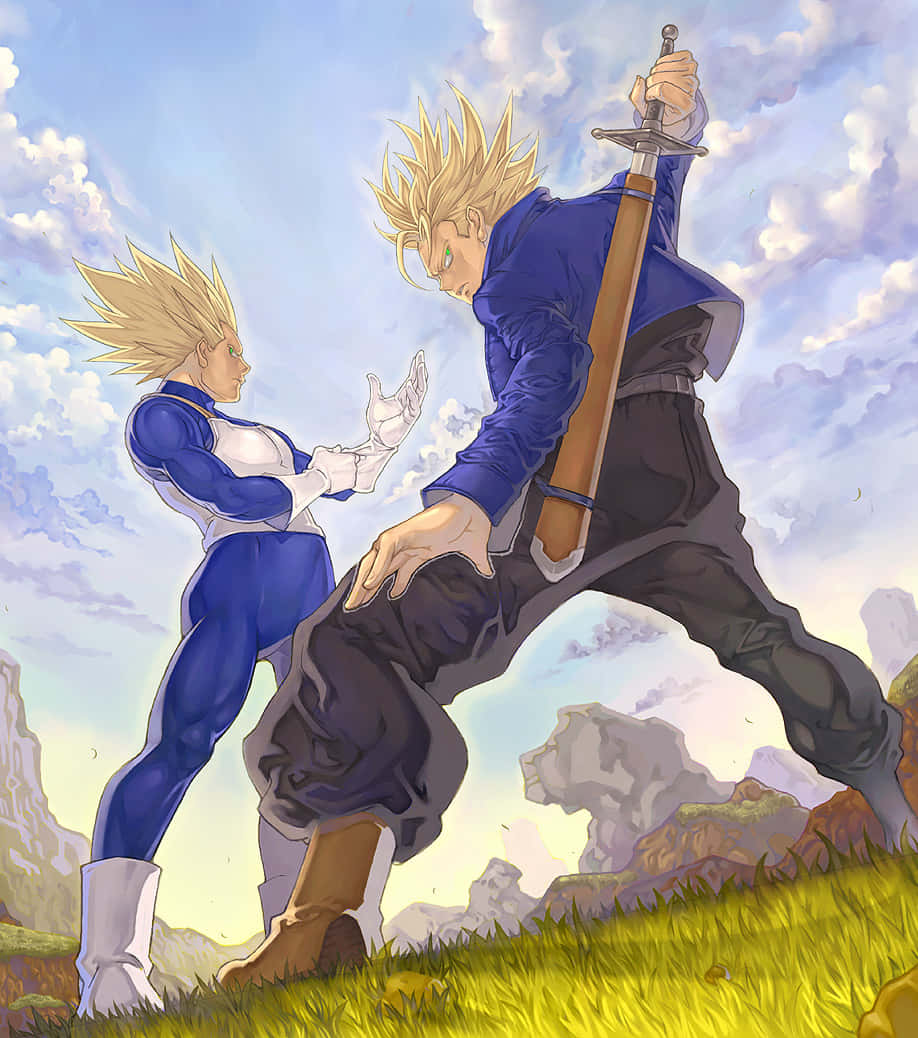 Vegeta And Trunks 桌布 壁紙 — 兩位頭髮尖刺的動漫戰士在晴朗多雲的天空下，在長滿草的山丘上交鋒，一人揮劍，另一人擺出防守姿勢。
