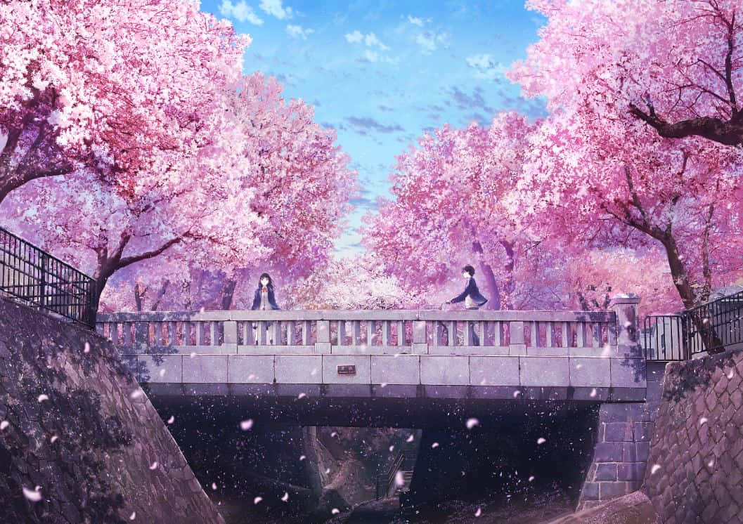 Cherry Blossom Tree 桌布 壁紙 — 兩個人影站在石橋上，上方是盛開的粉紅櫻花樹冠，花瓣在柔和陽光中飄落。