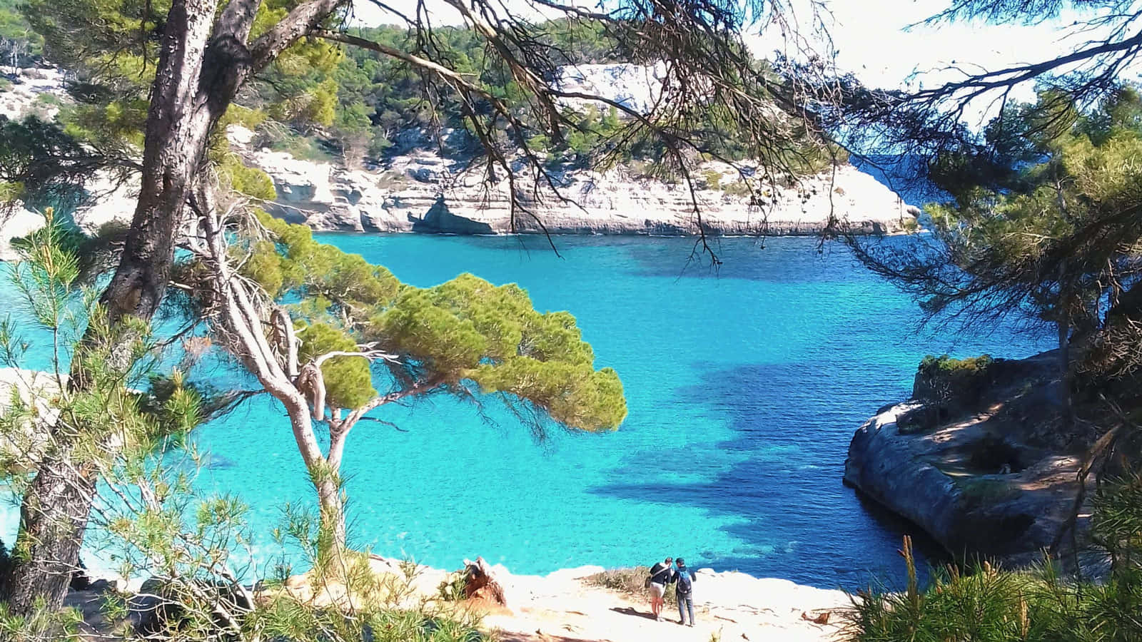 Mediterranean Beach 桌布 壁紙 — 兩個人沿著陽光明媚的小海灣漫步，海灣被松樹環繞，俯瞰著充滿活力的碧綠海水。