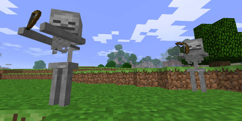 Minecraft Skeleton 桌布 壁紙 — 兩個像素化的 Minecraft 骷髏站在草地上，藍天下有方塊狀的雲。
