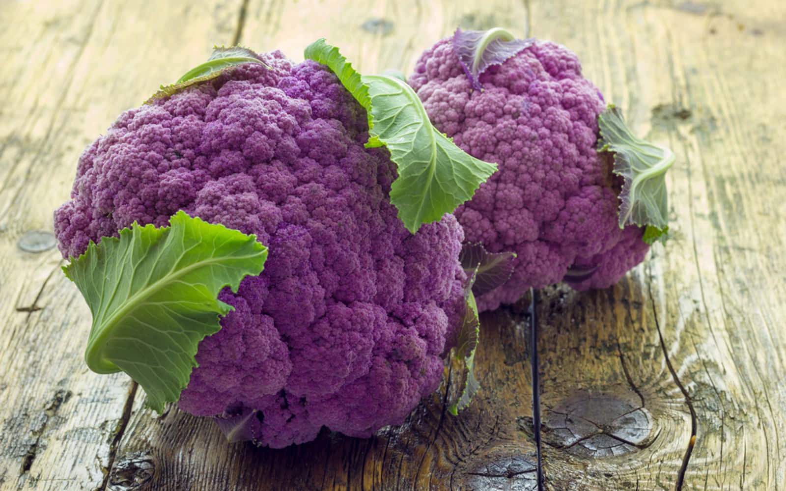 Purple Cauliflower 桌布 壁紙 — 兩個充滿活力的紫色椰菜花頭，帶有新鮮的綠色葉子，放在一個風化的木質表面上。