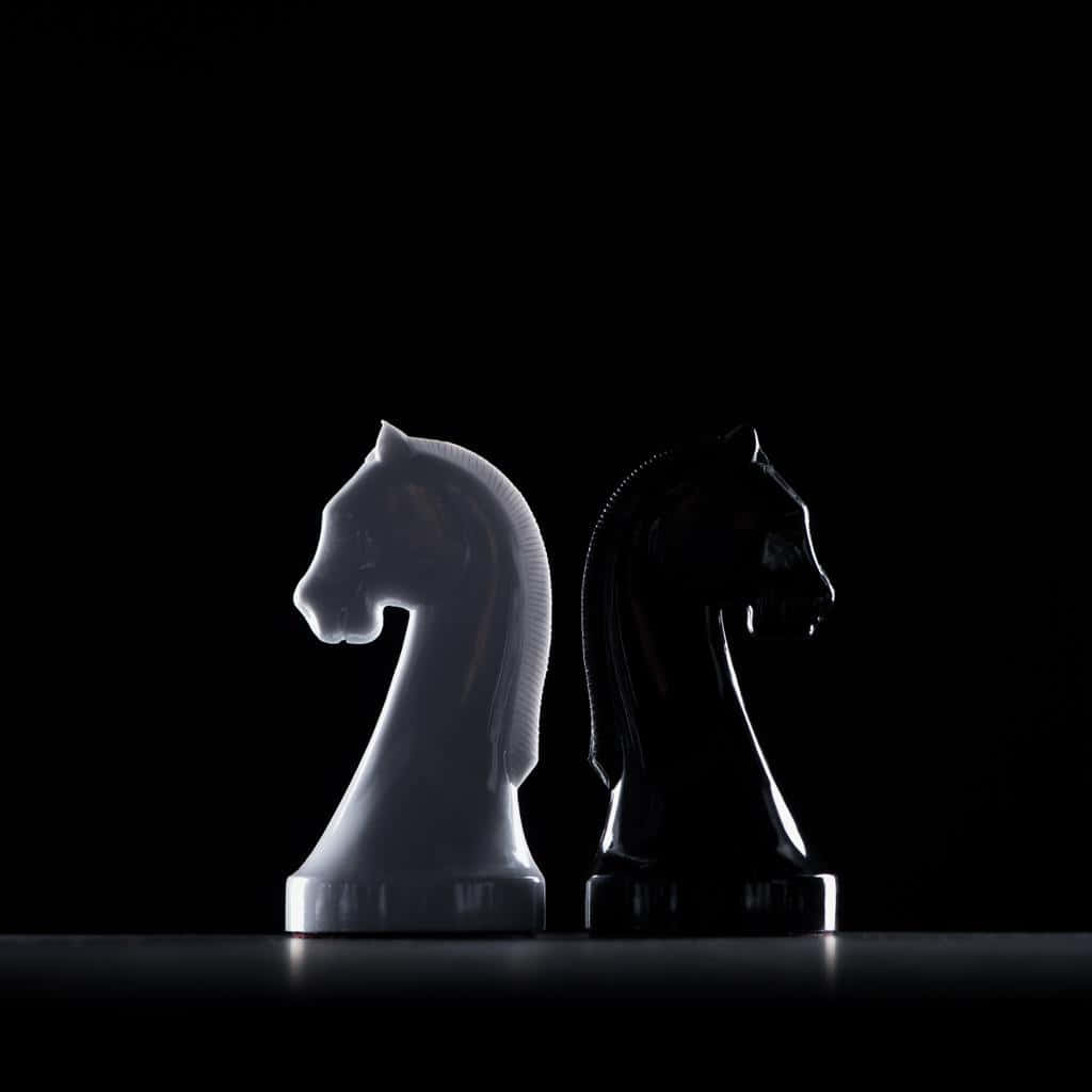 Black And White Chess 桌布 壁紙 — 兩個光澤的國際象棋騎士，一個白色一個黑色，在純黑色背景下，在戲劇性燈光下形成鮮明對比。