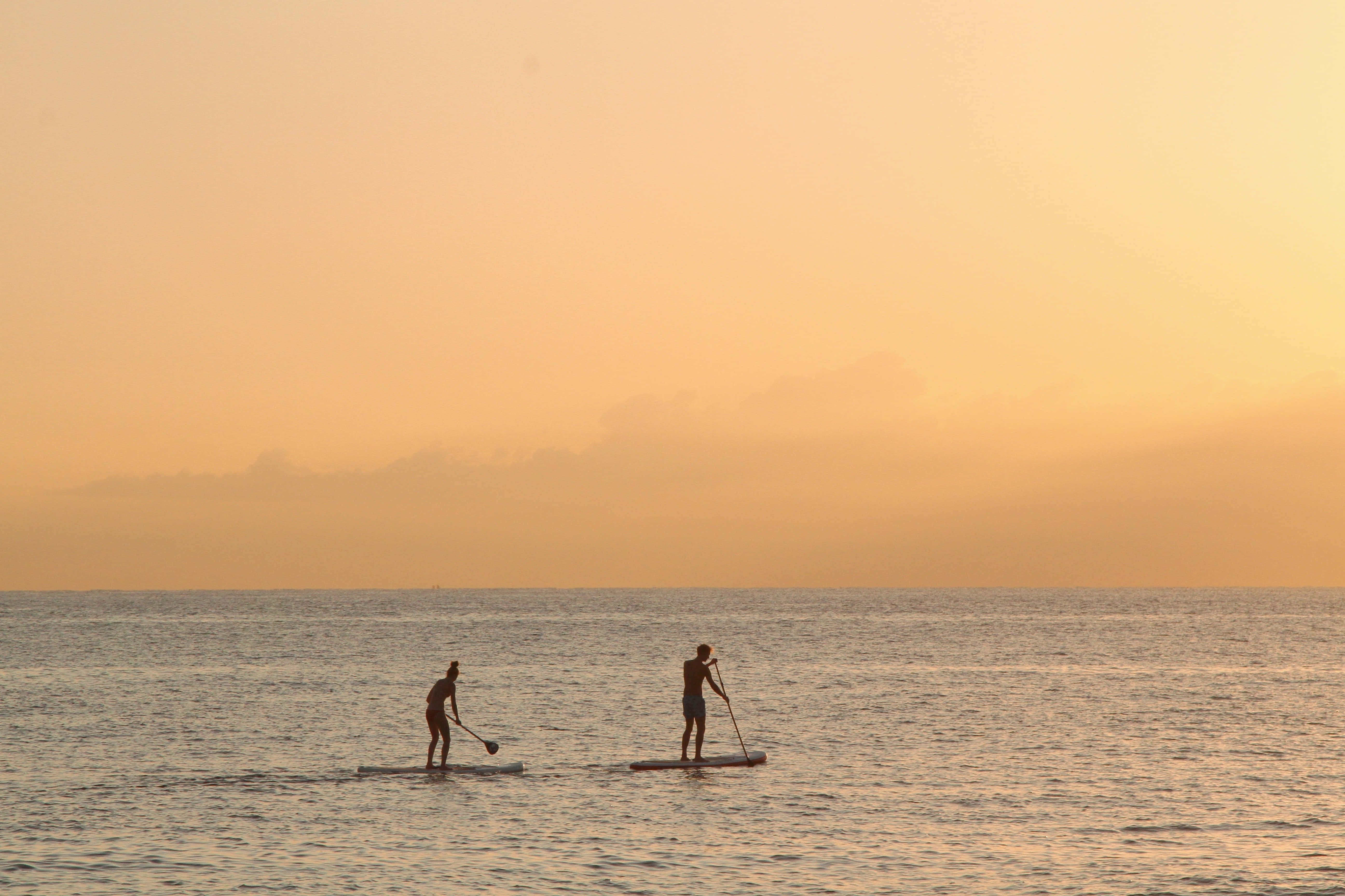 Paddleboarding 桌布 壁紙 — 兩個剪影的立槳衝浪者在溫暖的金色日落天空下，平靜的海面上滑行。