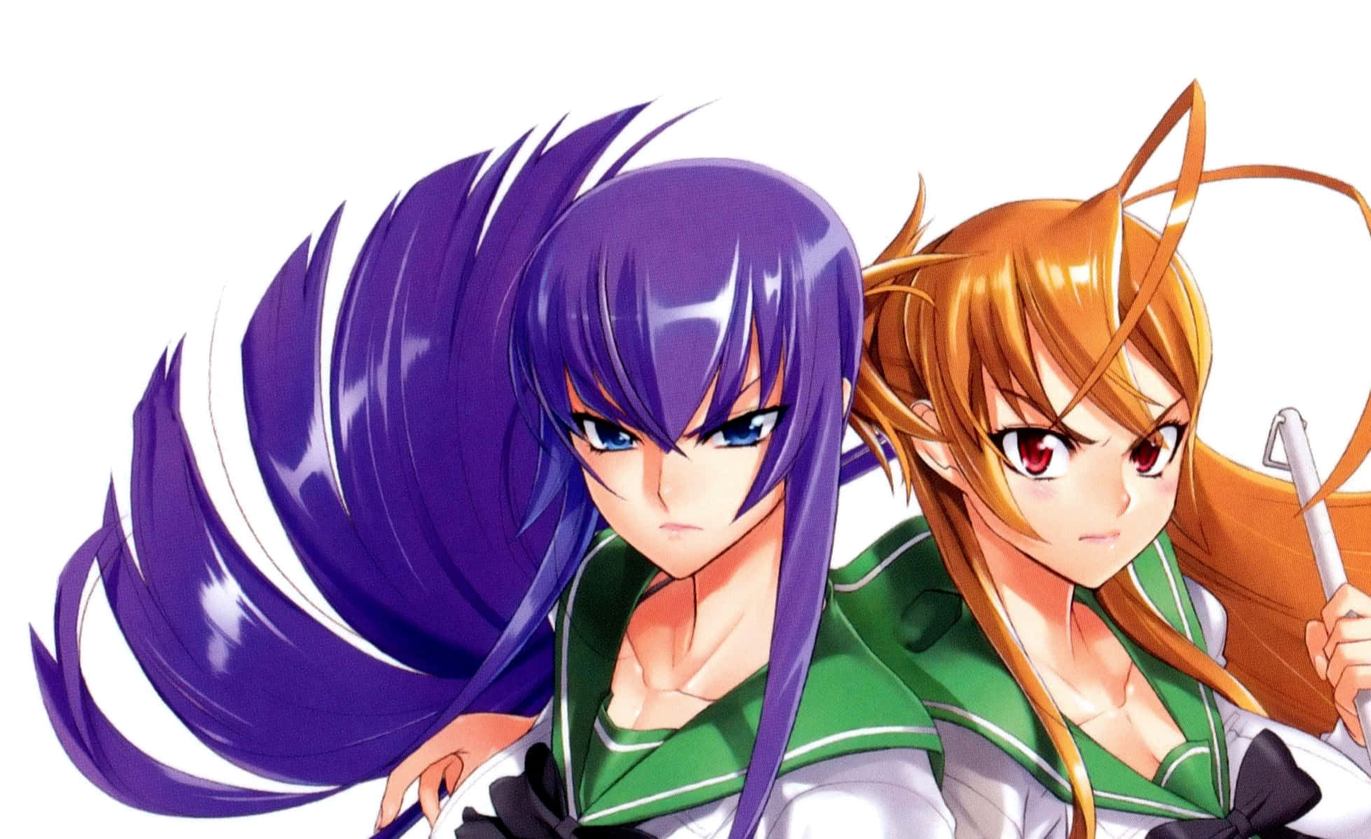 Highschool Of The Dead 桌布 壁紙 — 兩個動漫女孩，一頭紫髮和一頭橙髮，穿著綠色校服，在白色背景前擺出堅定的表情。