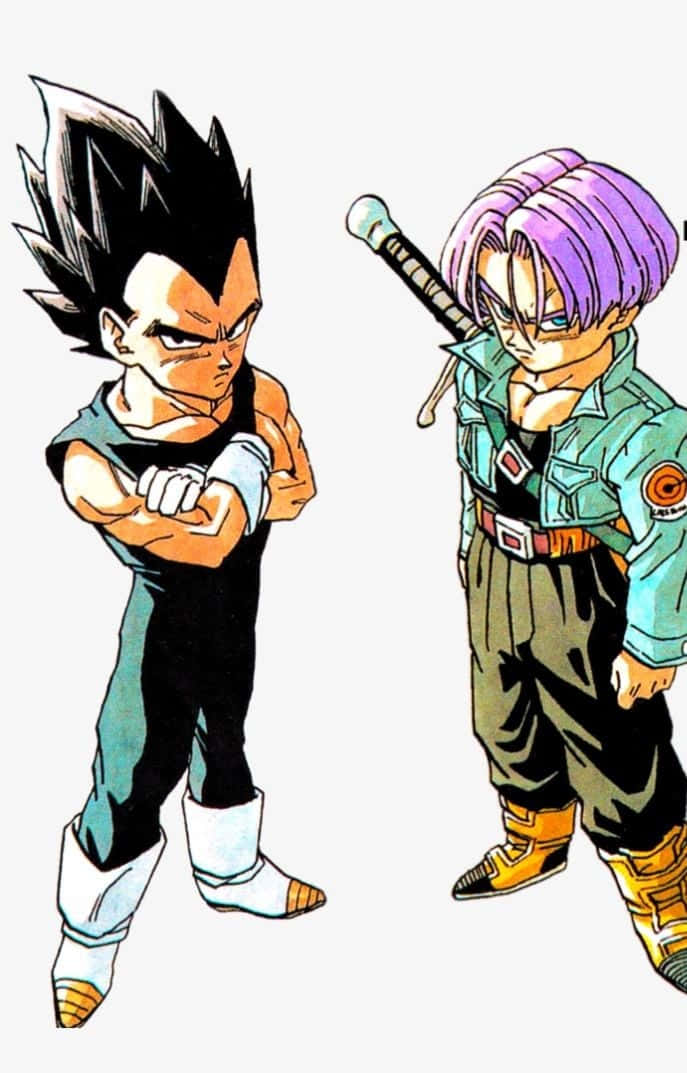Vegeta And Trunks 桌布 壁紙 — 兩個動漫戰士以戰鬥姿勢站立，一個有黑色刺蝟頭，另一個有紫色頭髮並手持劍。