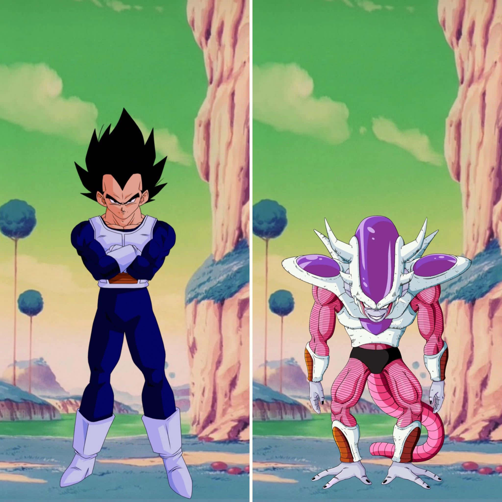 Vegeta And Frieza 桌布 壁紙 — 兩個動漫戰士站在沙漠峽谷中，一個穿著藍色盔甲，另一個穿著粉紅色和白色盔甲，背後是綠色的天空。