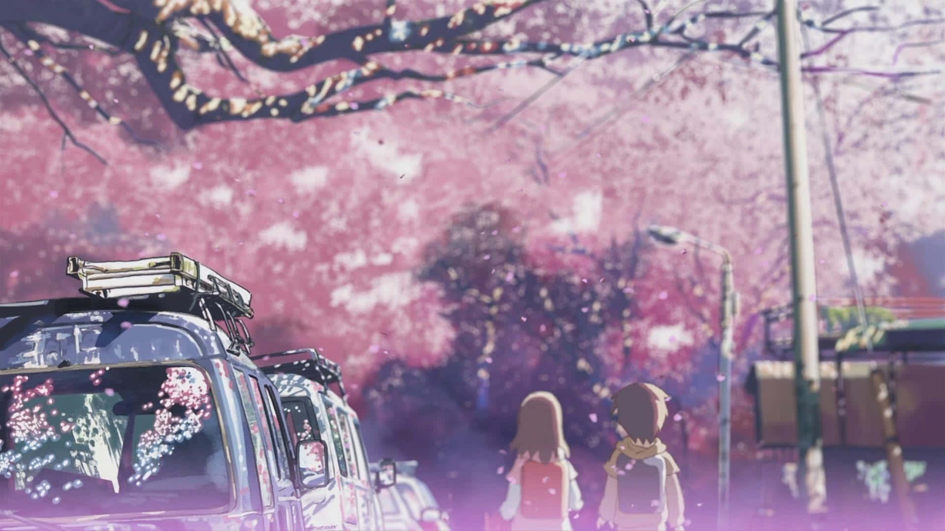 Aesthetic Pink Anime 桌布 壁紙 — 兩個動漫角色在粉紅色櫻花樹下行走，附近有汽車停泊。