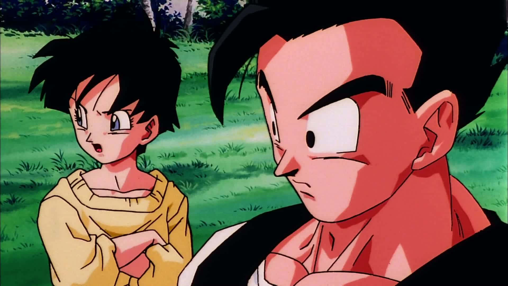 Dbz Movies 桌布 壁紙 — 兩個動漫角色站在草地上，一個交叉雙臂表情嚴肅，另一個睜大眼睛表情驚訝。