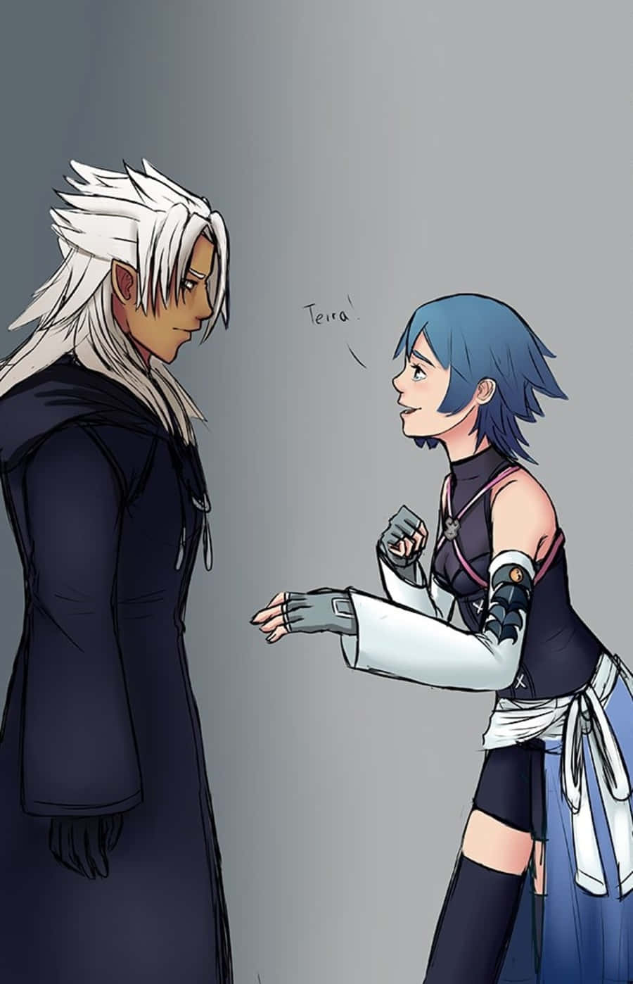 Kingdom Hearts Xemnas 桌布 壁紙 — 兩個動漫角色面對面，一個白髮黑外套，另一個藍髮機械臂，說著Terra。