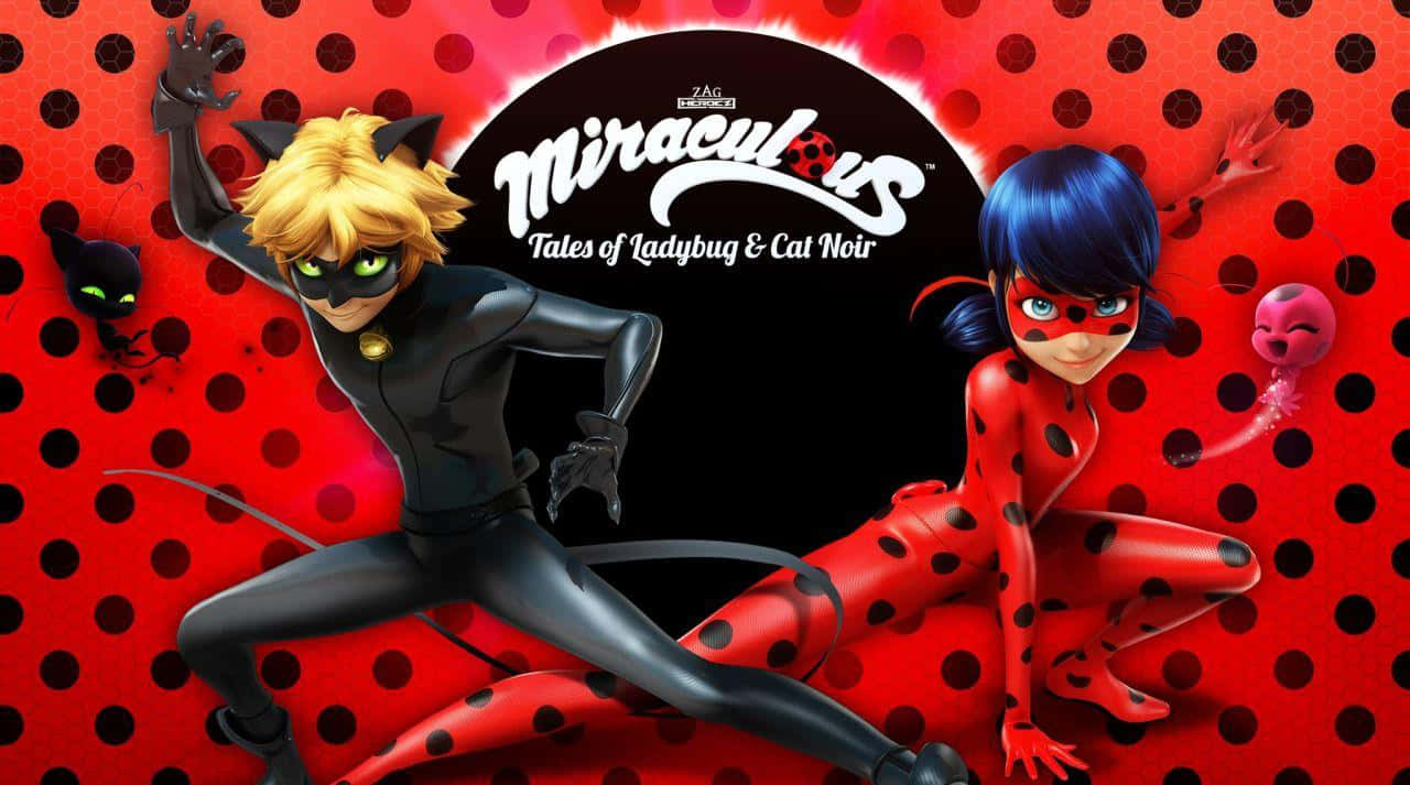 Ladybug And Cat Noir 桌布 壁紙 — 兩個動畫超級英雄穿著黑色和紅色的瓢蟲服裝，在鮮明的紅色圓點背景前動態擺姿勢。