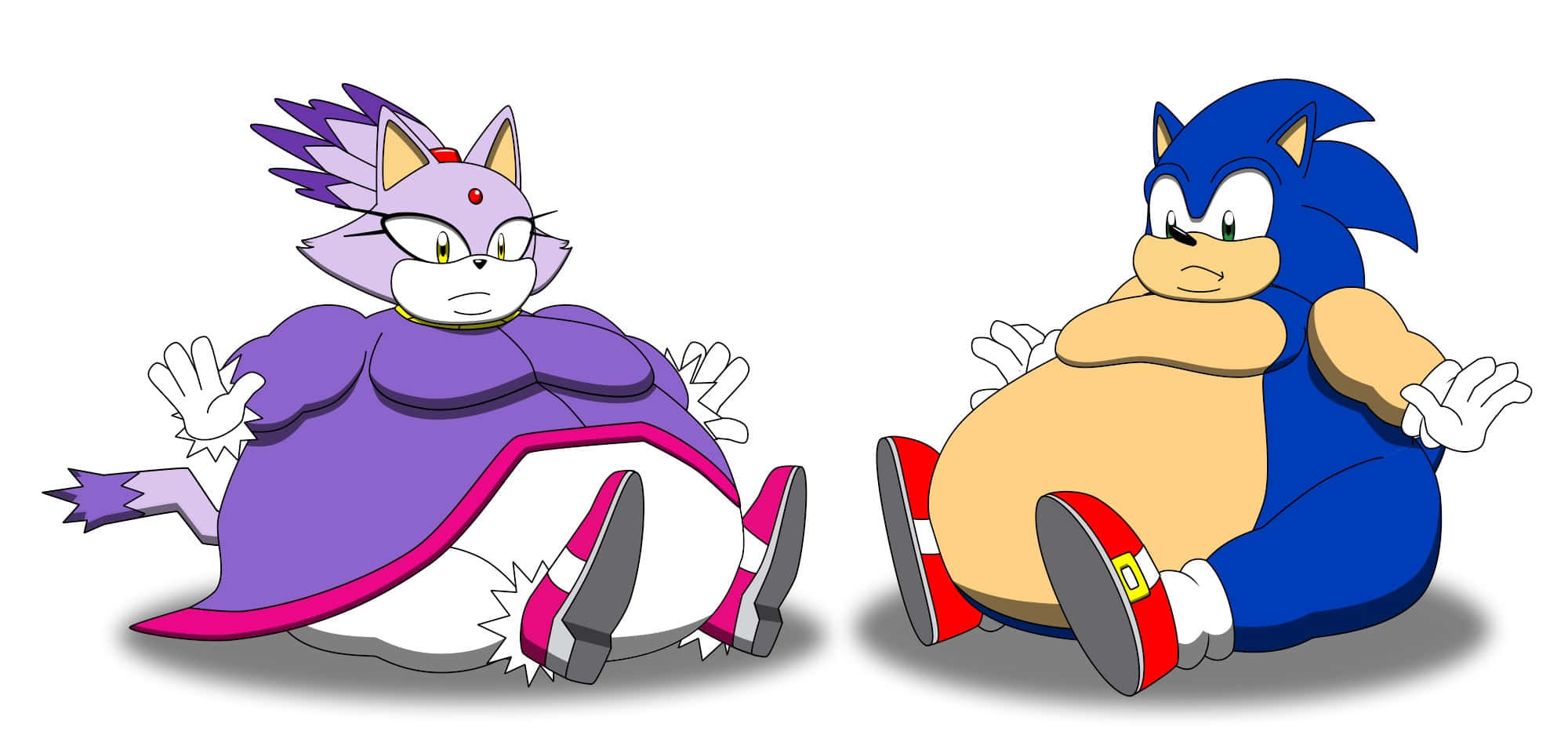 Sonic And Blaze 桌布 壁紙 — 兩個卡通角色，索尼克和一隻紫色的貓，並排坐著，看起來超重且尷尬。