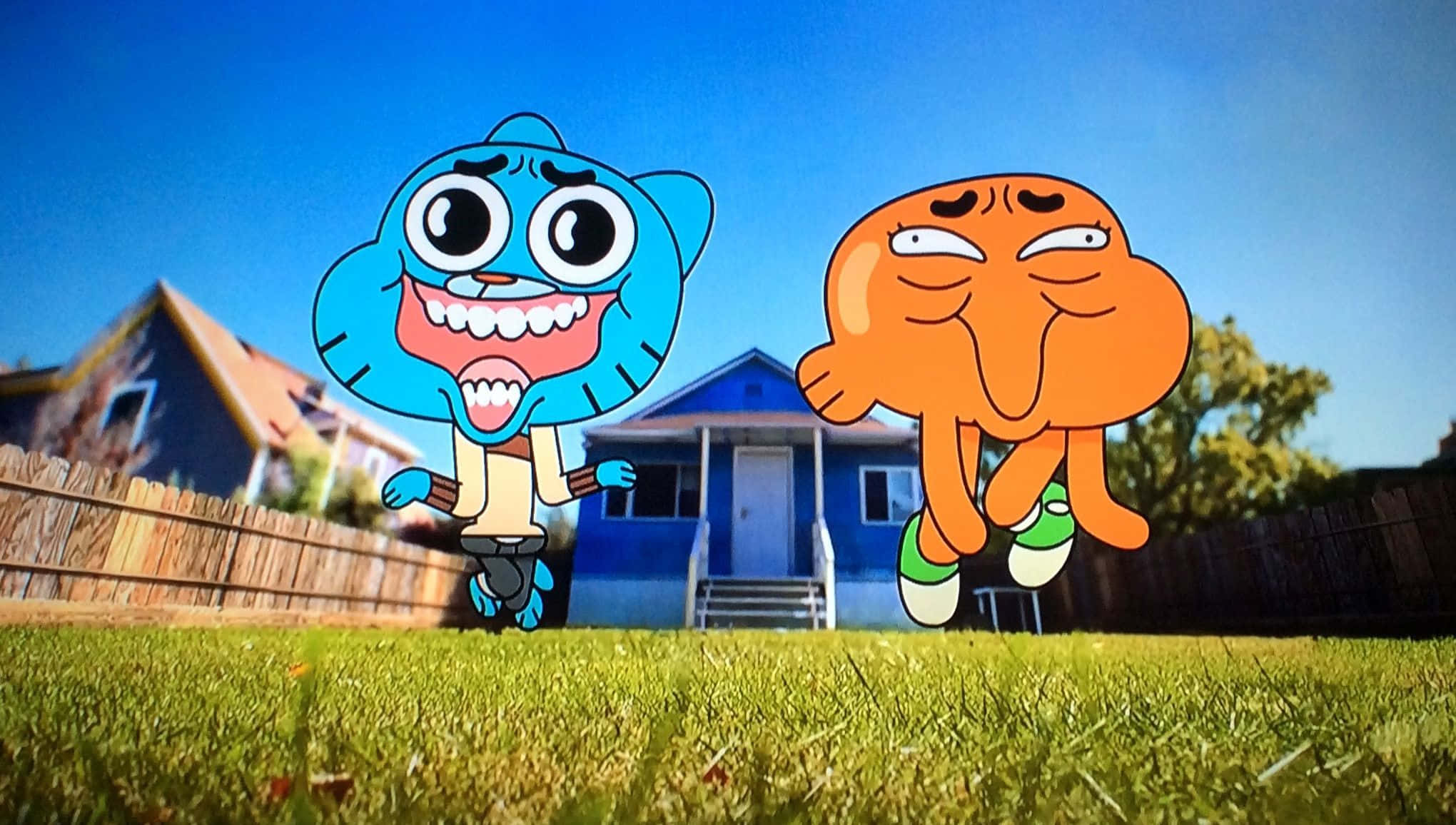 the amazing world of gumball 桌布 壁紙 — 兩個卡通角色喺藍色屋前面嘅陽光普照郊區草坪上歡樂咁跳躍。
