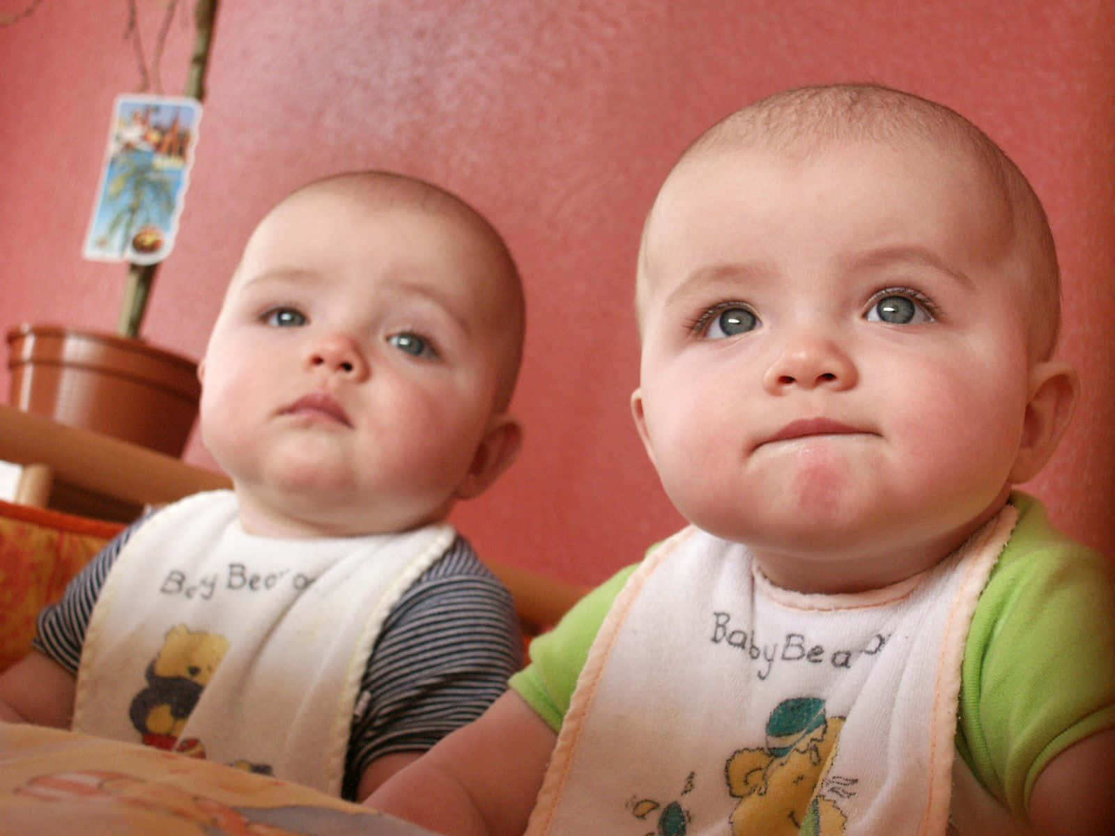 Cute Babies 桌布 壁紙 — 兩個好奇嘅BB戴住口水肩，對住溫暖嘅粉紅色牆壁，瞪大眼向上望。