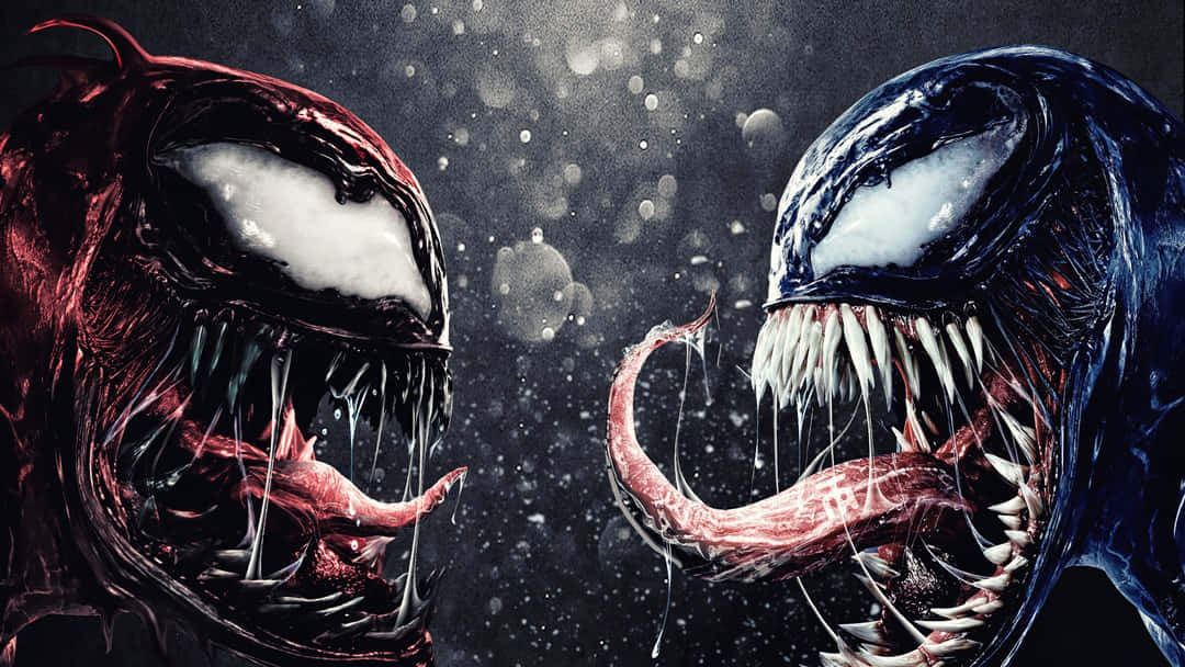 血蜘蛛 桌布 壁紙 — 兩個威脅性的共生體 Venom 和 Carnage 在黑暗、粗獷的對峙中面對面，滴著毒牙，閃爍著白色的眼睛。