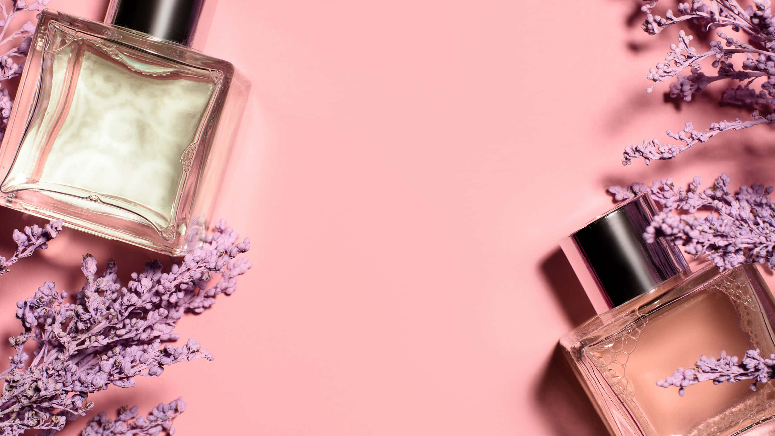 Floral Fragrance 桌布 壁紙 — 兩個帶黑色瓶蓋的玻璃香水瓶放置在柔軟的粉紅色表面上，周圍環繞著乾燥的薰衣草枝。
