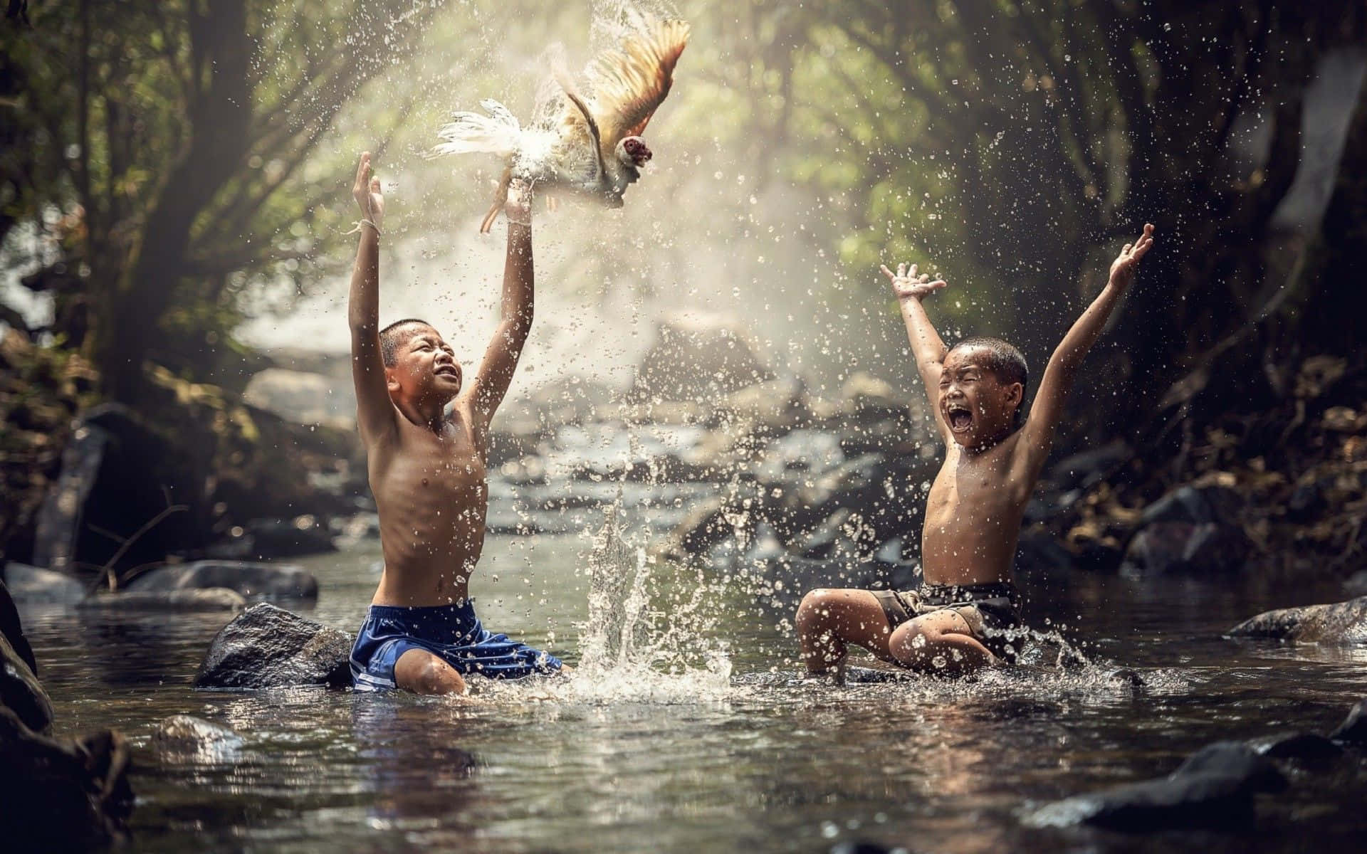 Contentment 桌布 壁紙 — 兩個快樂的男孩在森林溪流中嬉水，一隻公雞在他們上方飛過，濺起一片水花。