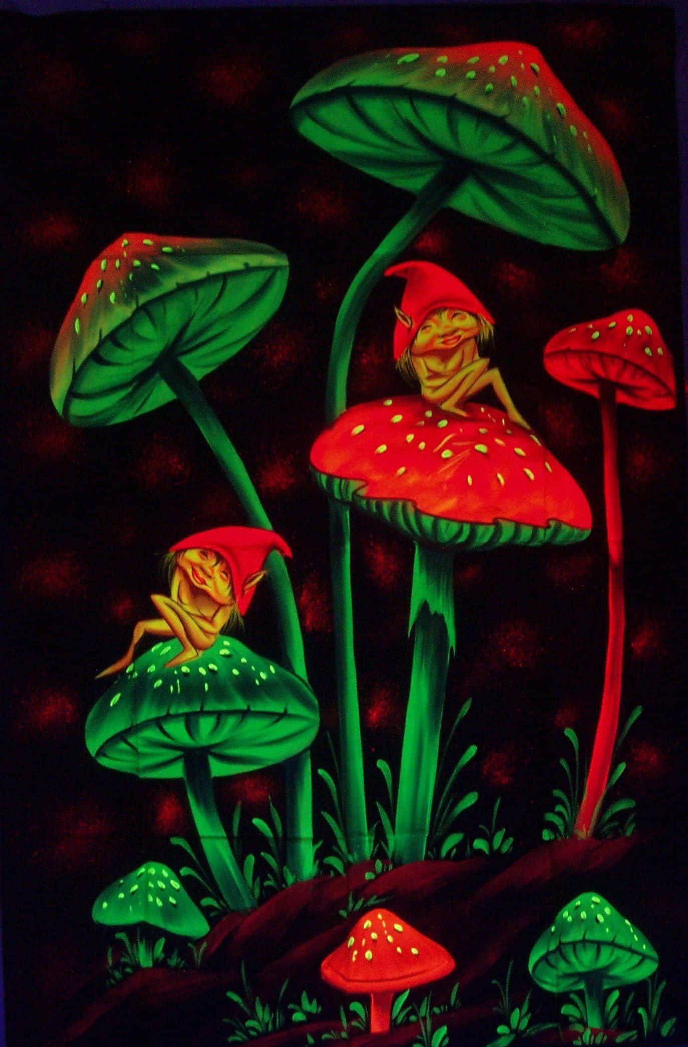 Trippy Mushroom 桌布 壁紙 — 兩個戴紅帽微笑的地精棲息在巨大的紅色和綠色蘑菇上，背景為深色紋理。