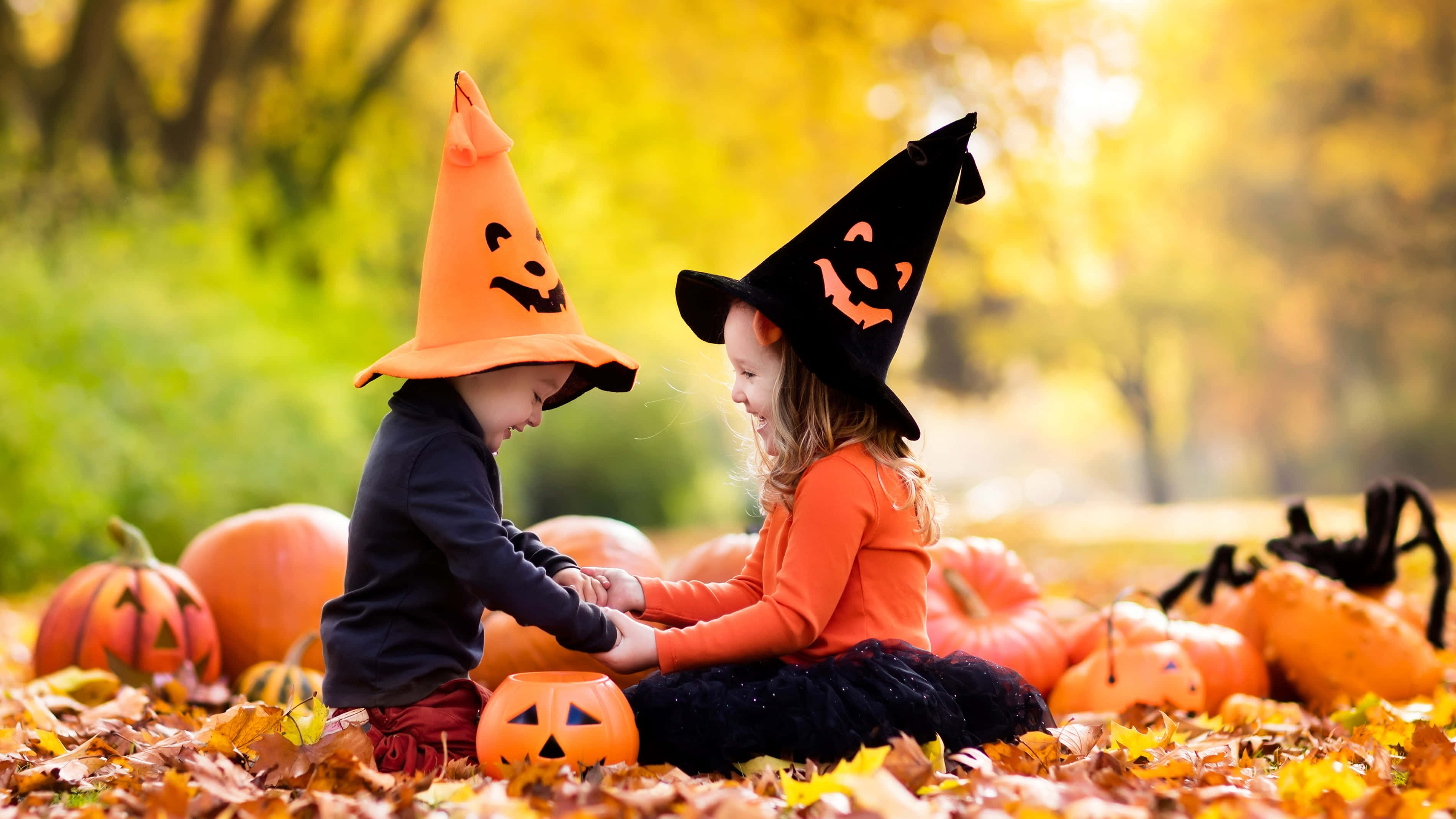 Witch Hats 桌布 壁紙 — 兩個戴著萬聖節巫婆帽的小孩坐在陽光明媚的秋日田野中，周圍有南瓜和落葉。
