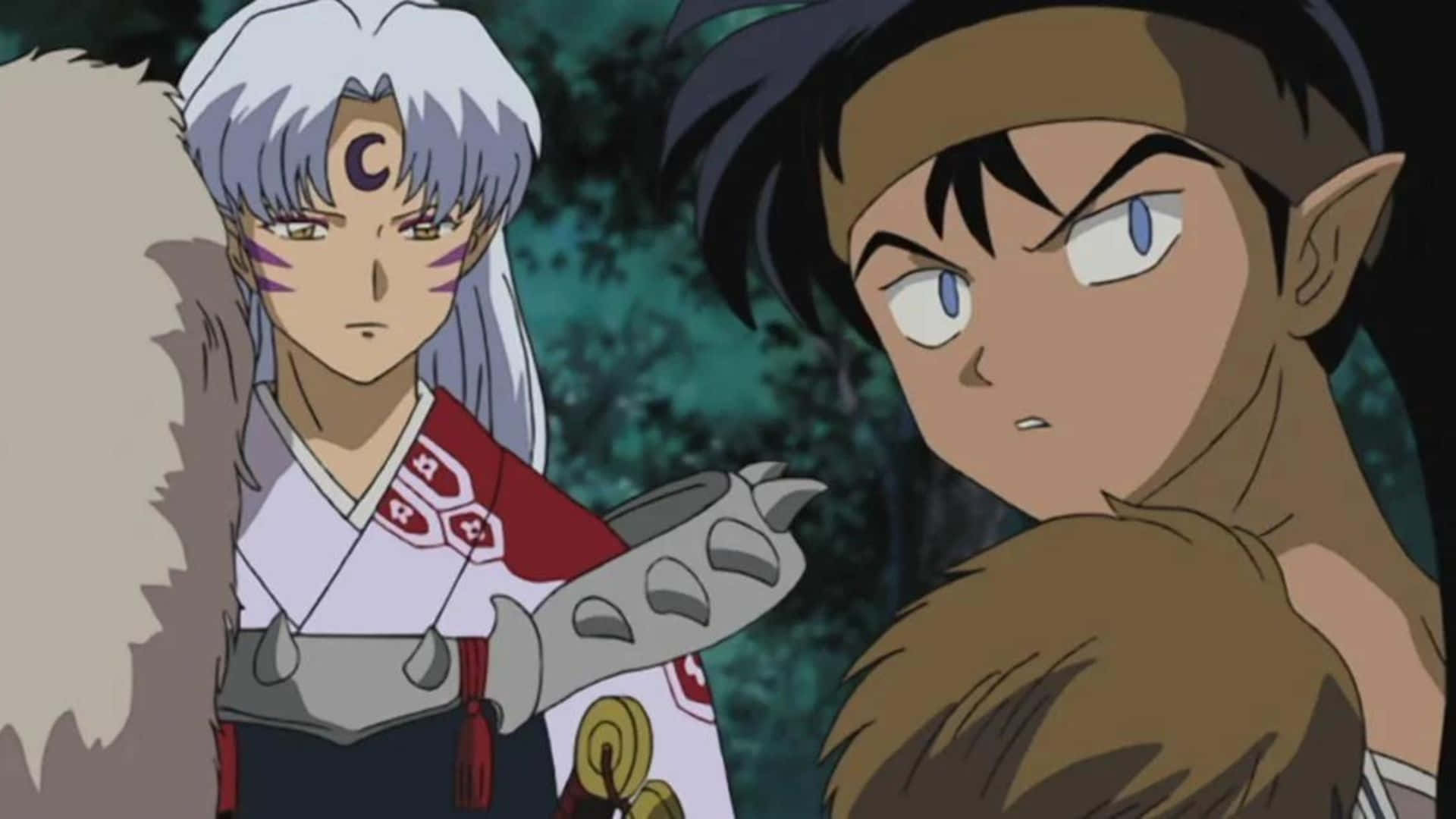 Inuyasha Koga 桌布 壁紙 — 兩個有尖耳朵的動漫角色站在黑暗的森林中，一個有銀色頭髮和紅色盔甲，另一個有黑色頭髮和棕色皮毛。