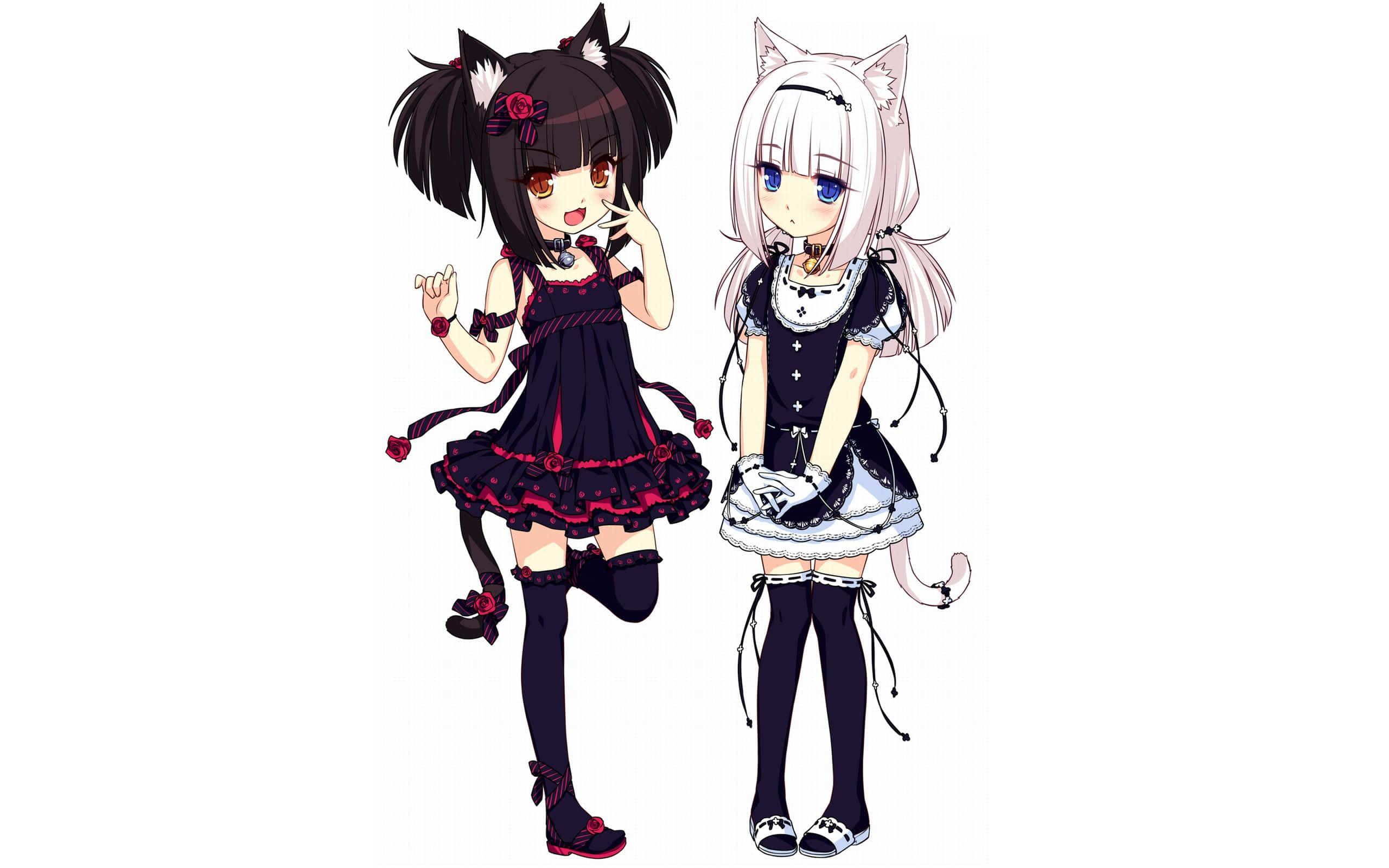 neko 桌布 壁紙 — 兩個有貓耳和貓尾的動漫女孩穿著哥德式蘿莉塔裙，在純白背景前擺姿勢。