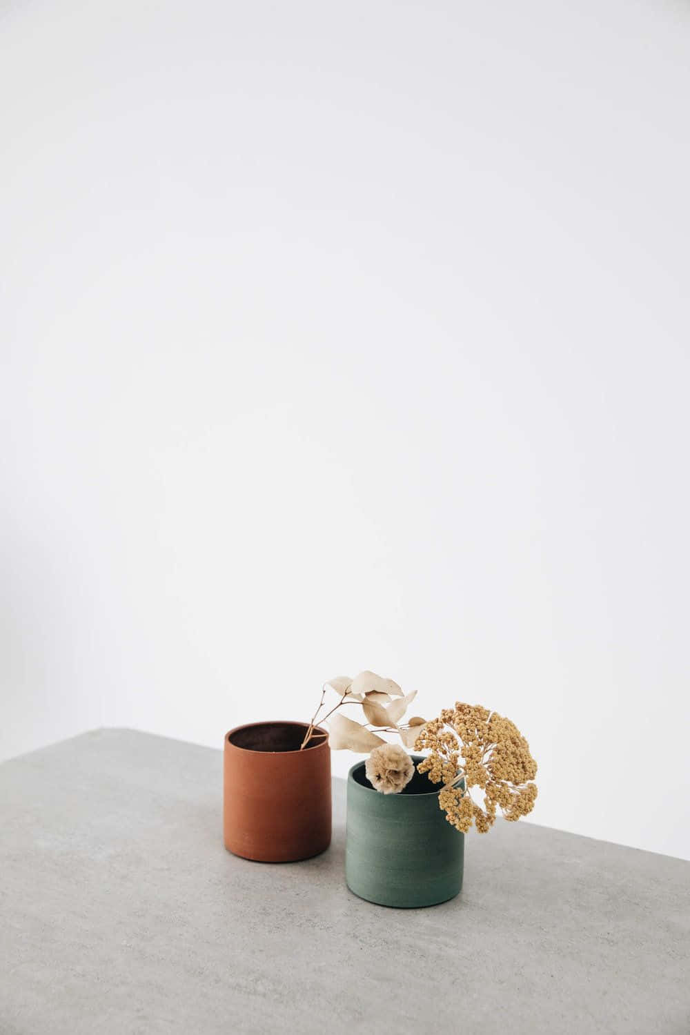 Minimalist Photography 桌布 壁紙 — 兩個極簡風格的陶瓷花瓶，內插乾花，置於混凝土表面上，背景為純白牆壁。