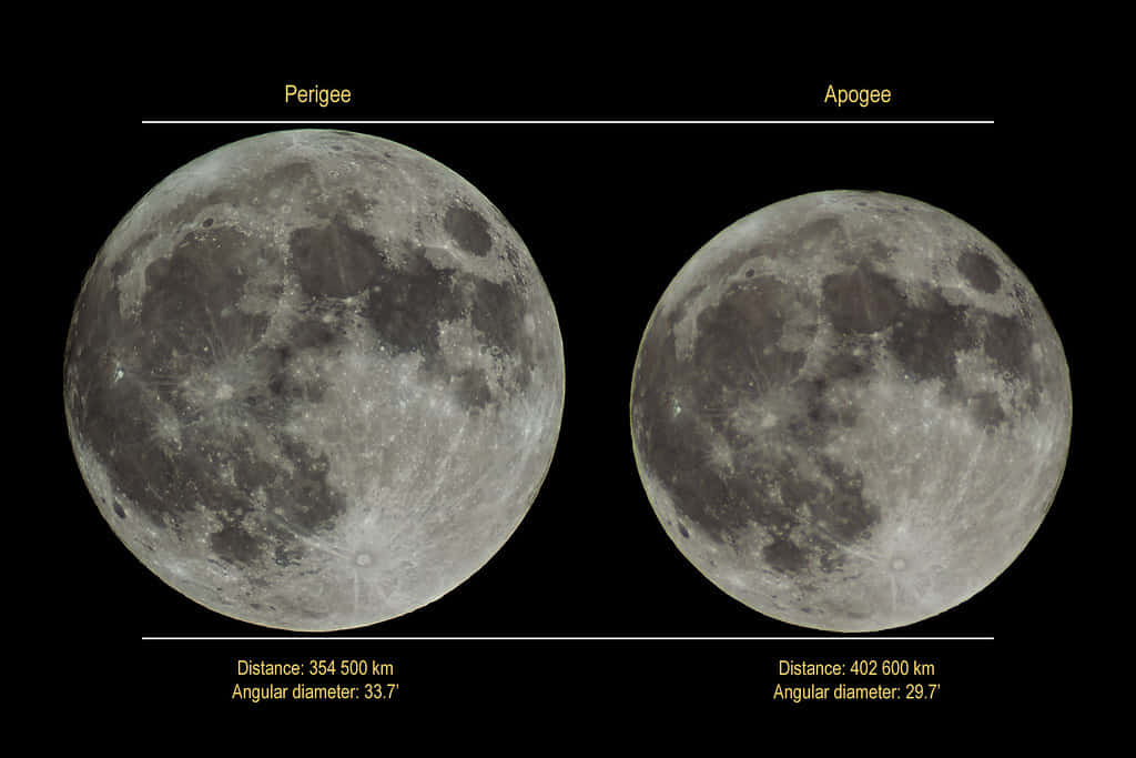 Perigee 桌布 壁紙 — 兩個標記為近地點和遠地點的月球圖像顯示了月球大小隨距離和角直徑數據的變化。