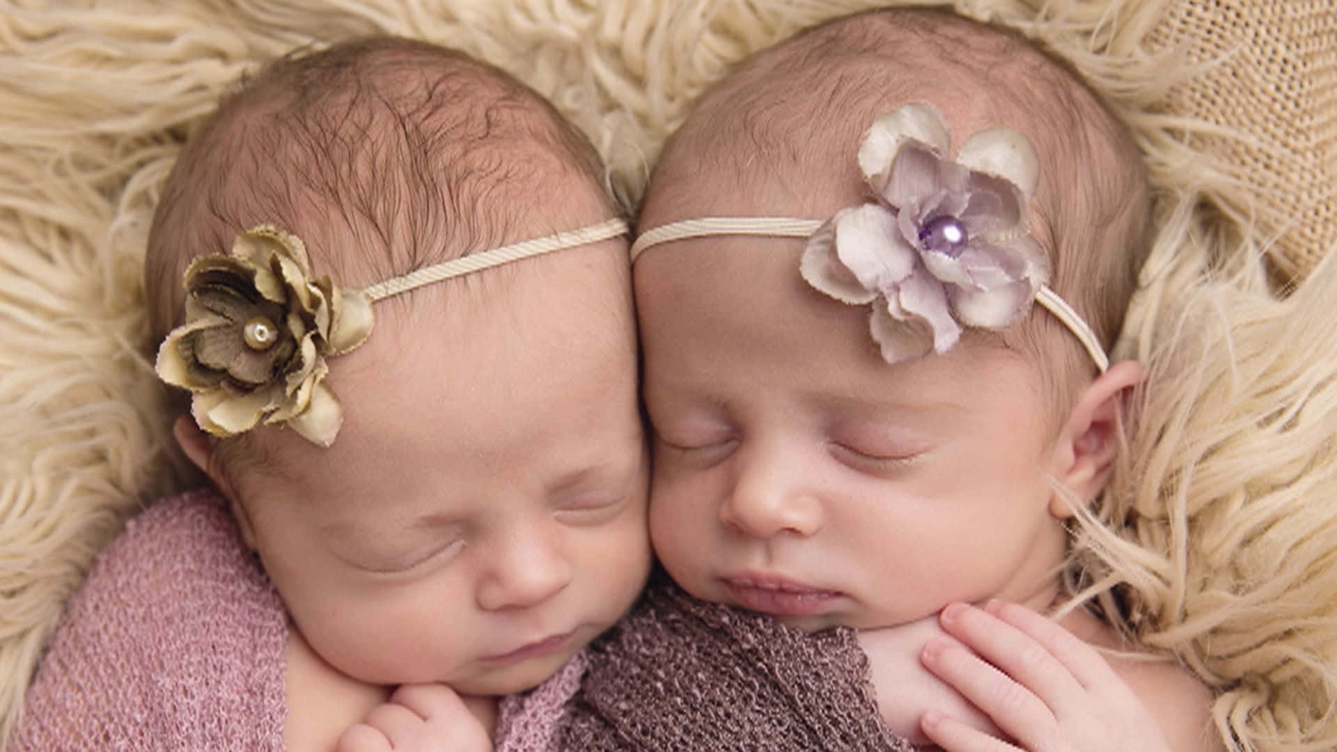 twins 桌布 壁紙 — 兩個正在睡覺的新生雙胞胎在柔軟的米色毯子上安詳地休息，每個都戴著精緻的花朵頭帶。