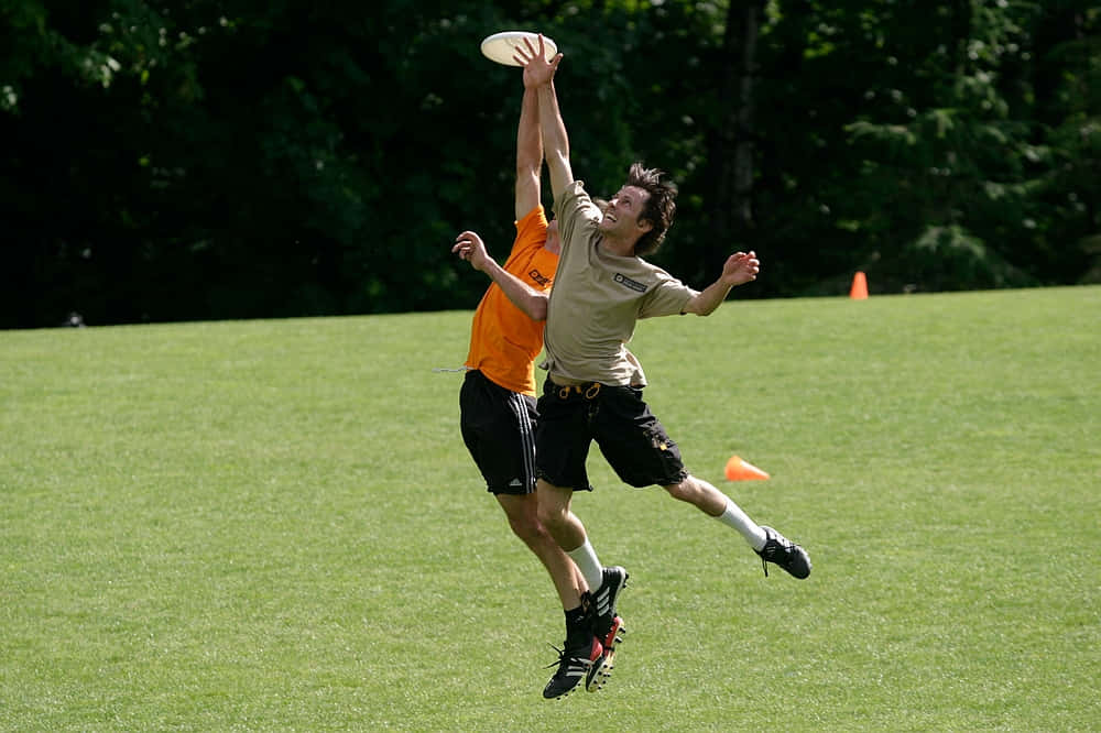 Frisbee 桌布 壁紙 — 兩個男人在陽光明媚的草地上騰空跳起，爭奪一個白色飛盤，背景是茂密的綠樹。
