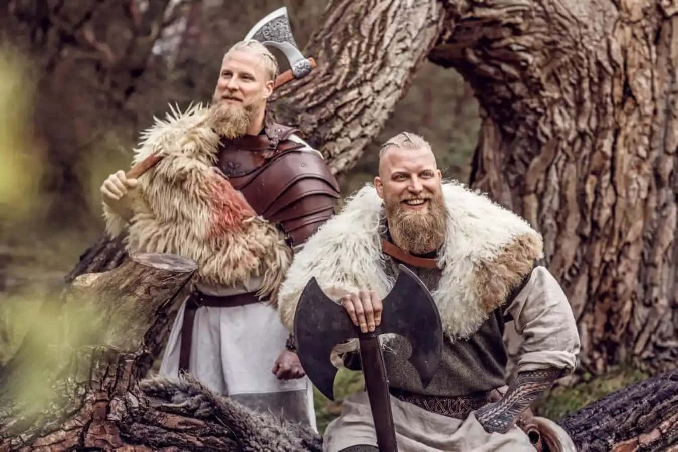 Vikings 桌布 壁紙 — 兩個留鬍子的維京人身穿毛皮襯裡的盔甲，在迷霧森林中一棵巨大的多節樹旁手持斧頭擺姿勢。
