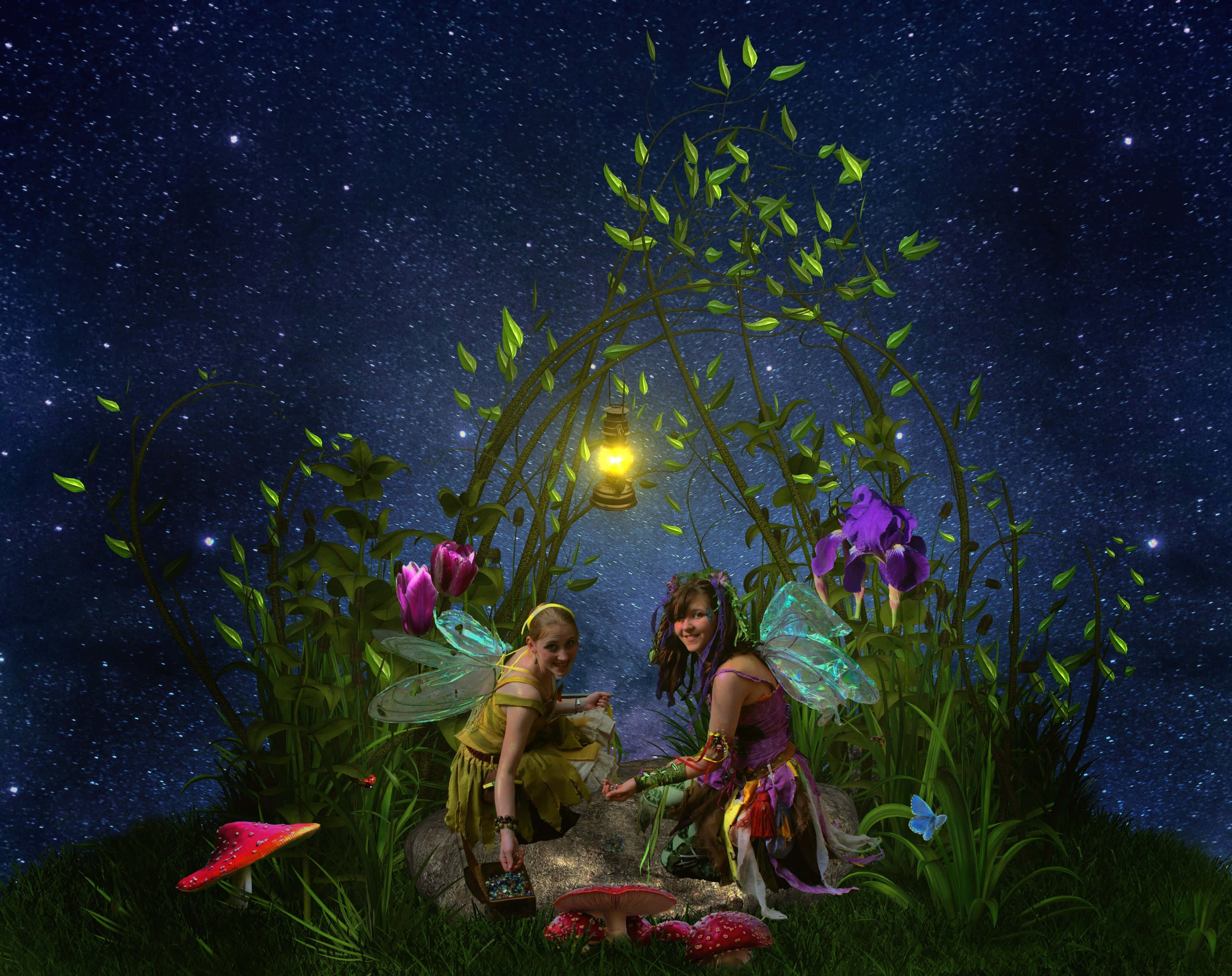 Enchantment 桌布 壁紙 — 兩個發光翅膀嘅仙子坐喺樹葉拱門下面，喺滿天星星嘅夜空下，周圍係發光嘅蘑菇同紫色花。