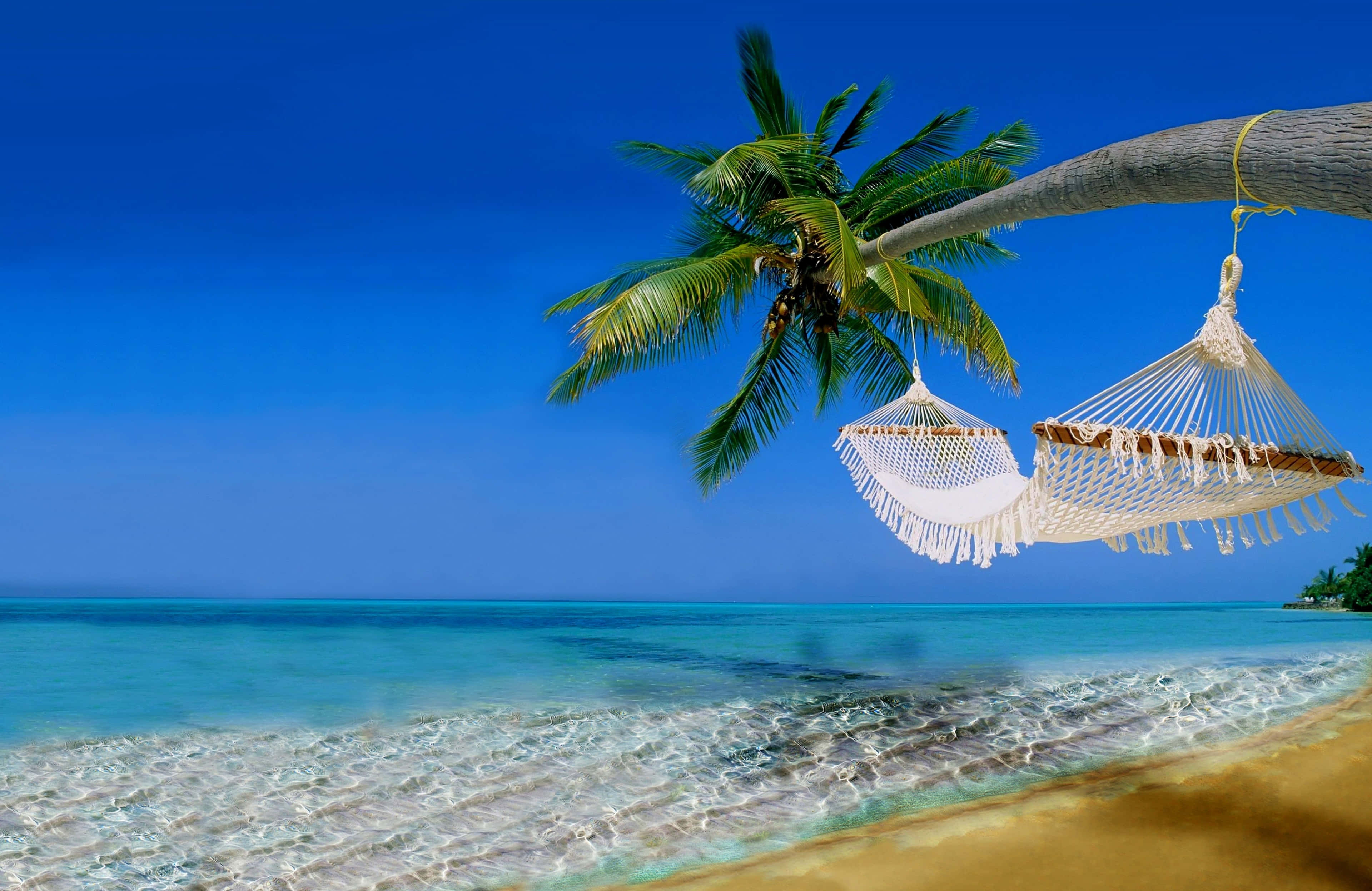 Beach Holiday 桌布 壁紙 — 兩個白色流蘇吊床掛在棕櫚樹上，下方是碧綠的海水，位於陽光明媚的熱帶海灘。